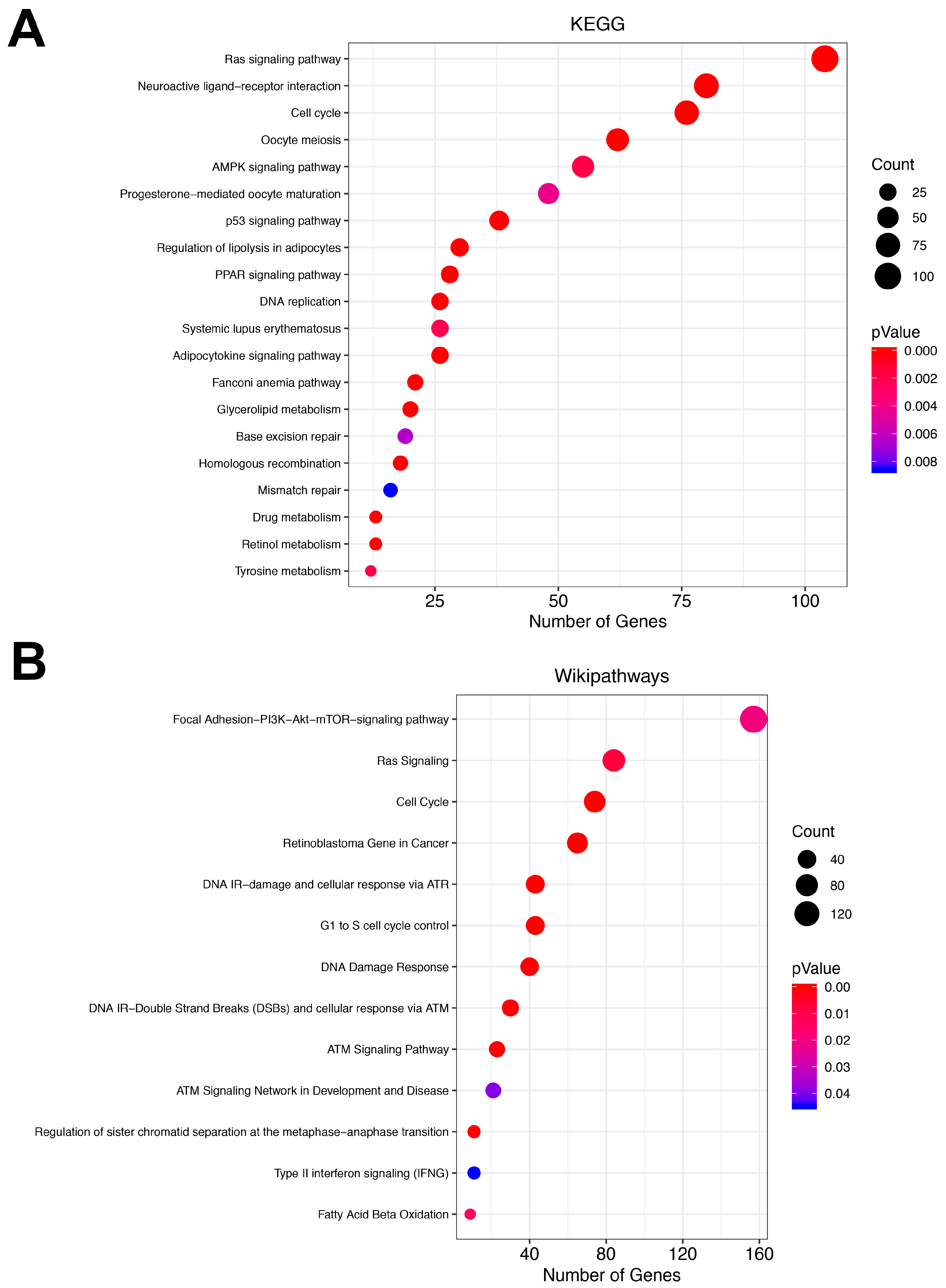 Cells 09 01610 g004 Cells 09 01610 g004