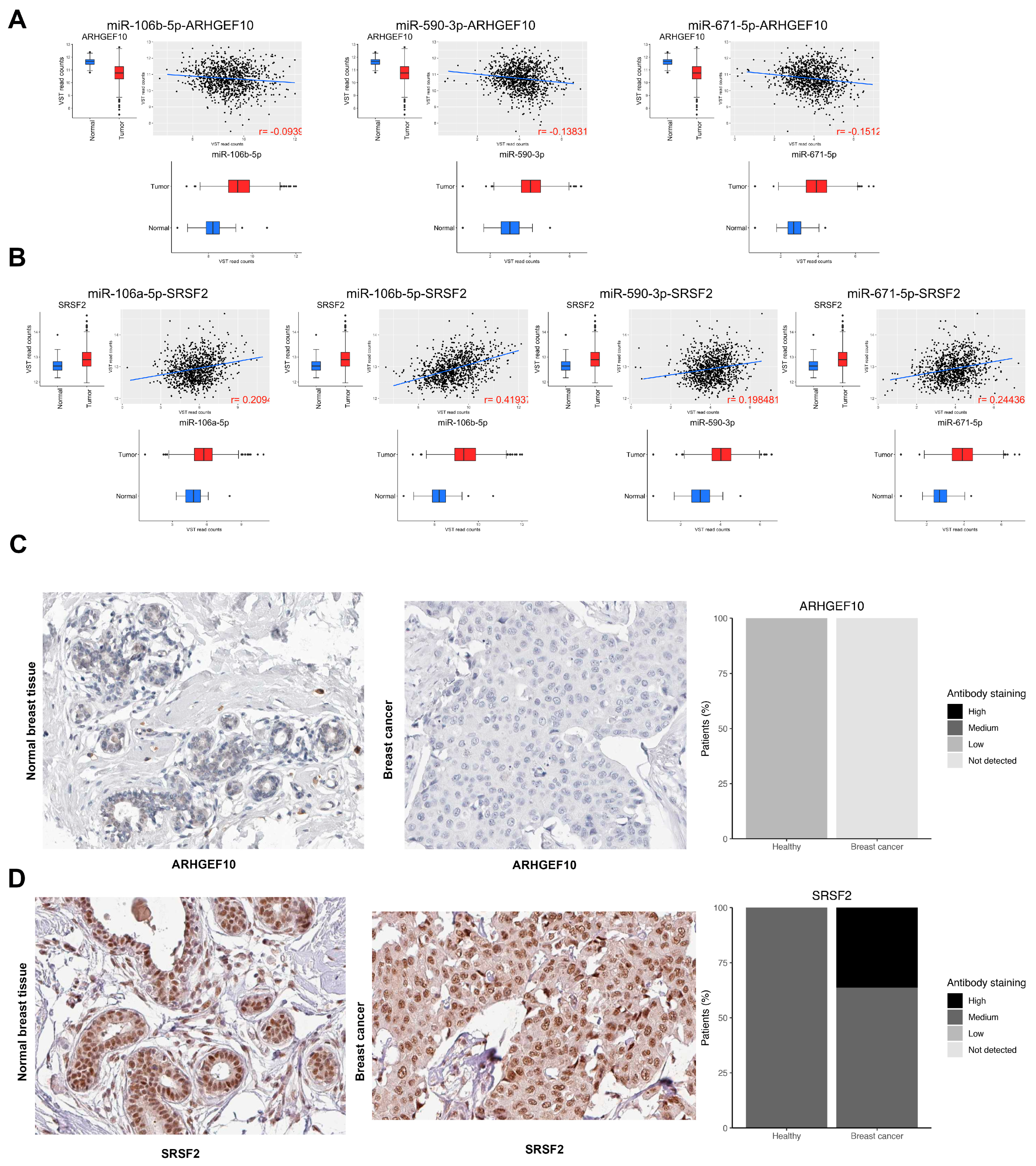 Cells 09 01610 g007 Cells 09 01610 g007