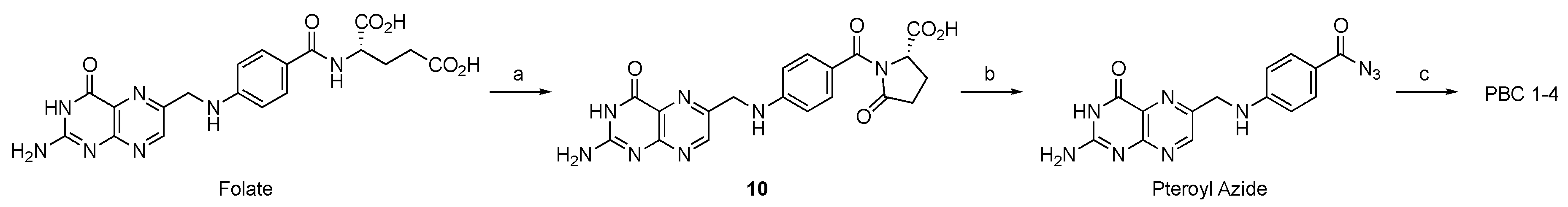 Cells 09 01615 sch002 Cells 09 01615 sch002
