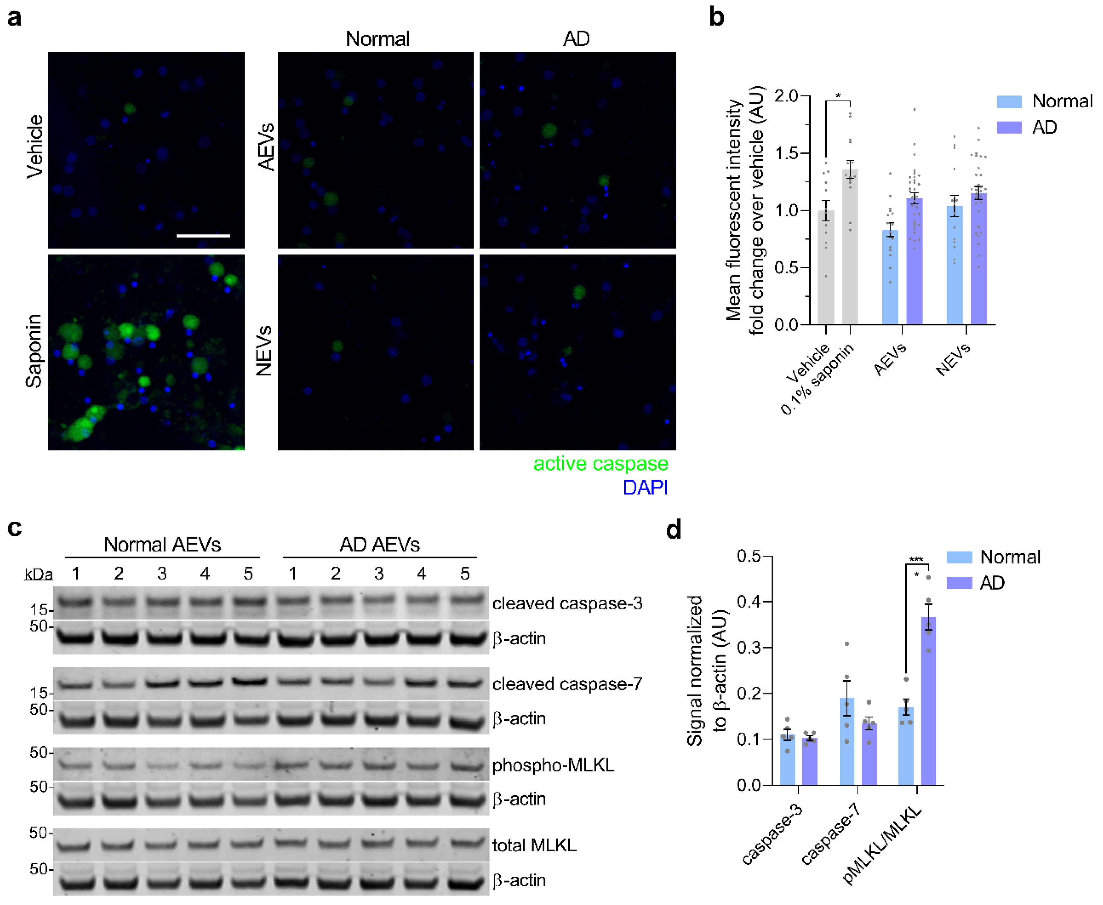 Cells 09 01618 g004 Cells 09 01618 g004