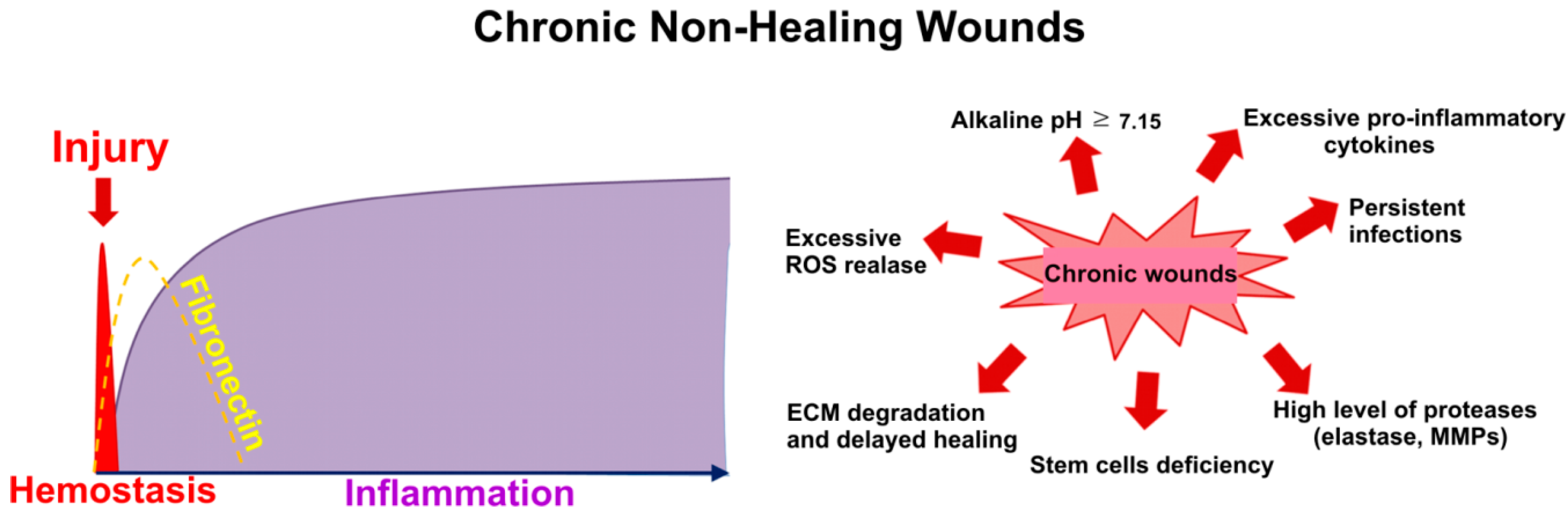 Cells 09 01622 g002 Cells 09 01622 g002