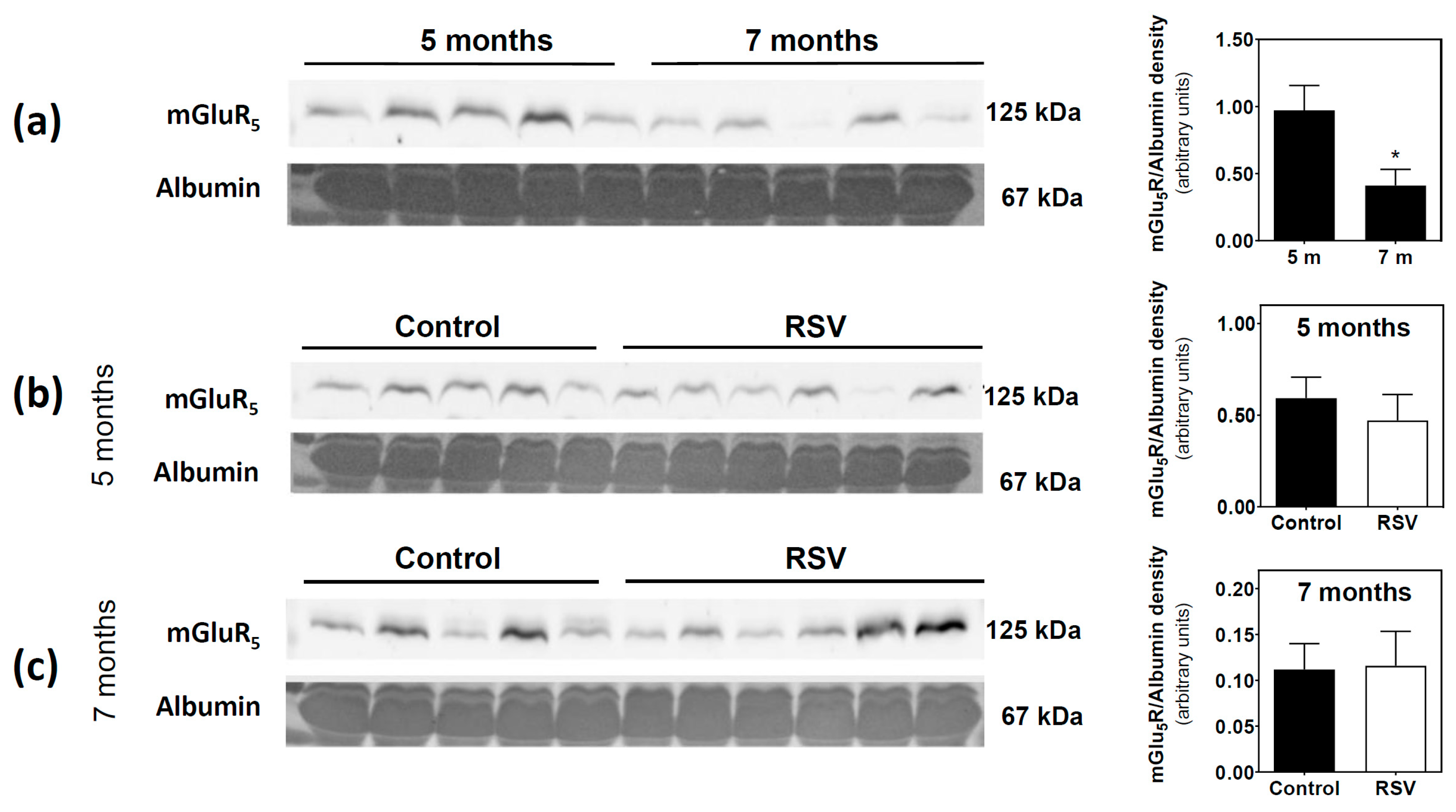 Cells 09 01628 g004 Cells 09 01628 g004