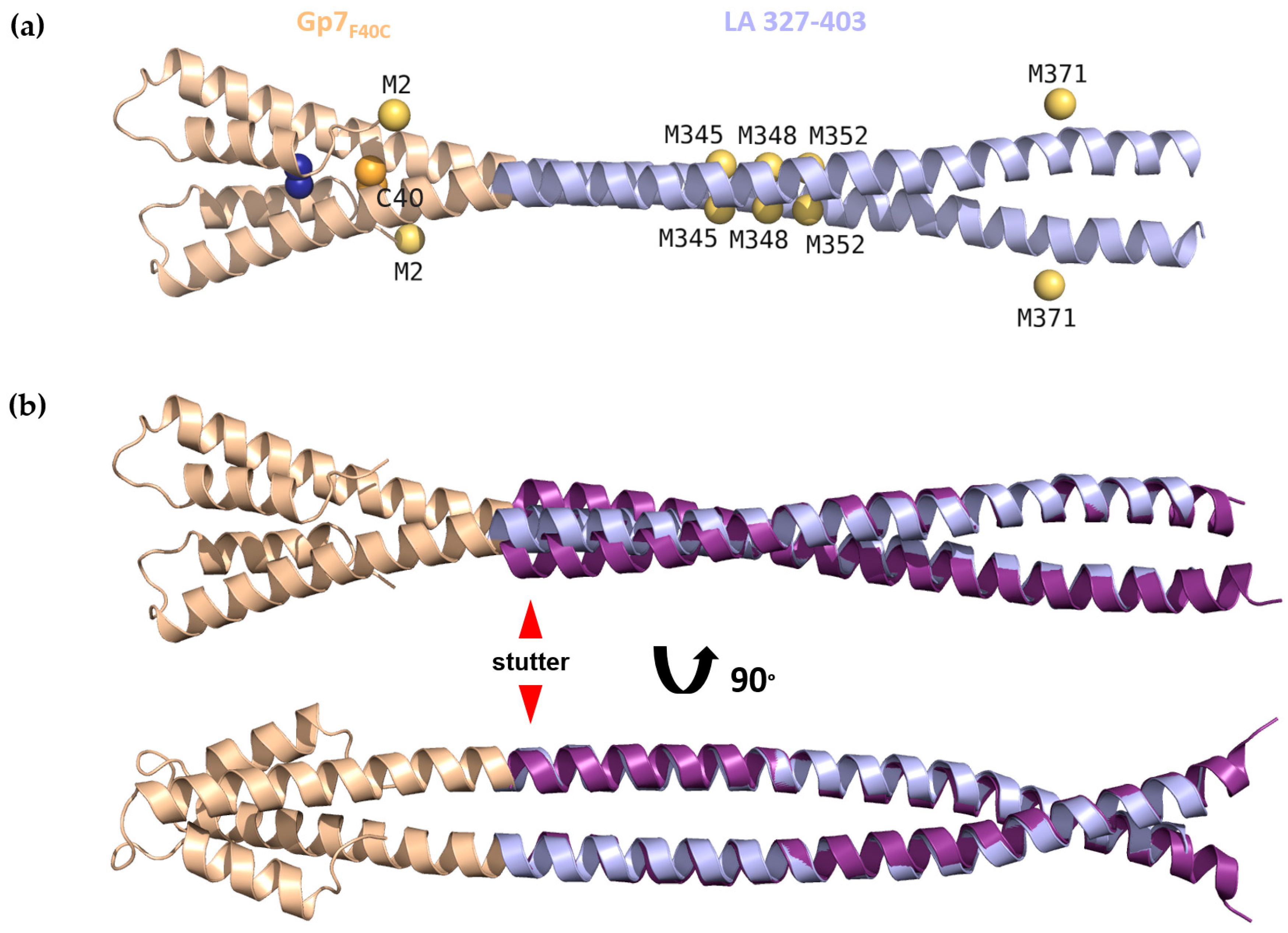 Cells 09 01633 g002 Cells 09 01633 g002