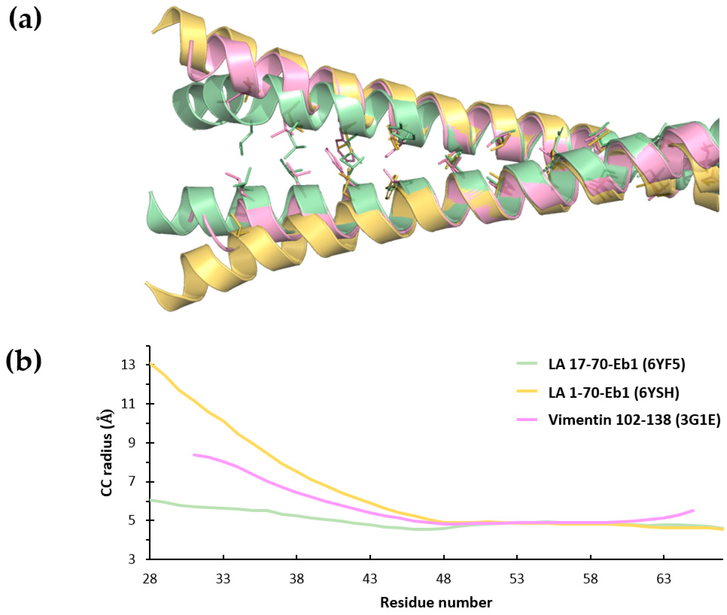 Cells 09 01633 g005 Cells 09 01633 g005