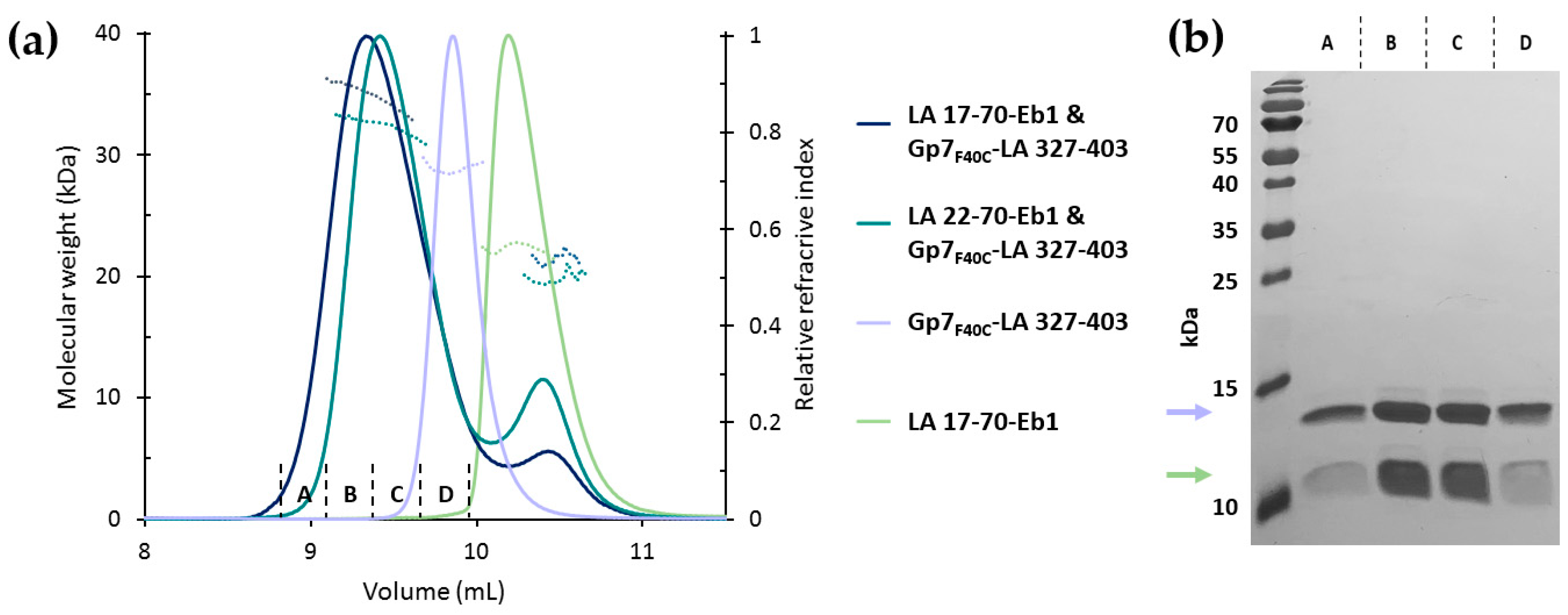 Cells 09 01633 g006 Cells 09 01633 g006