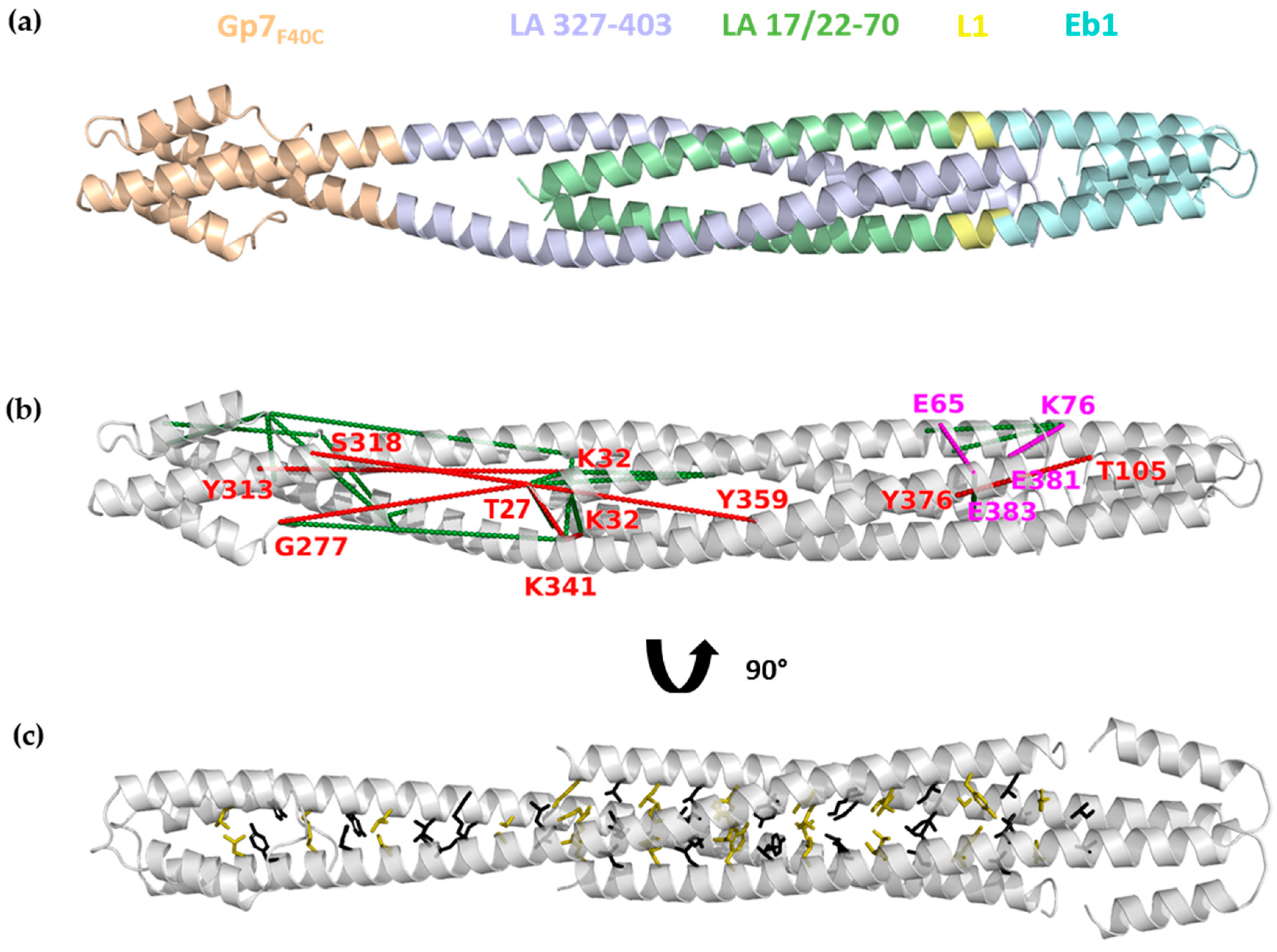 Cells 09 01633 g008 Cells 09 01633 g008