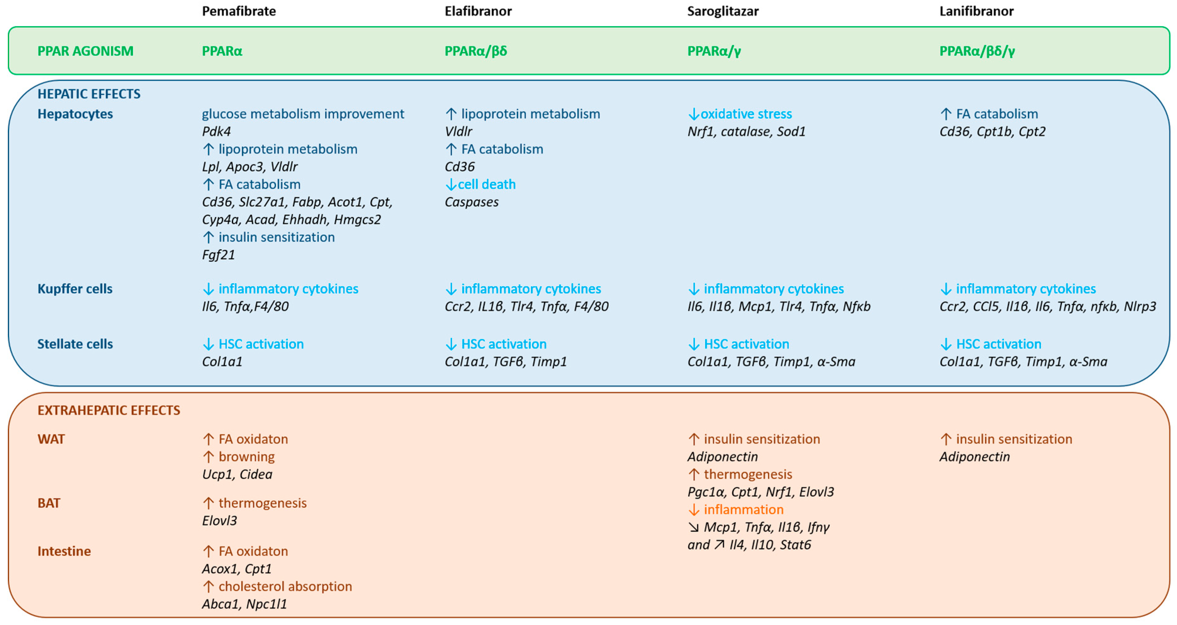 Cells 09 01638 g005 Cells 09 01638 g005