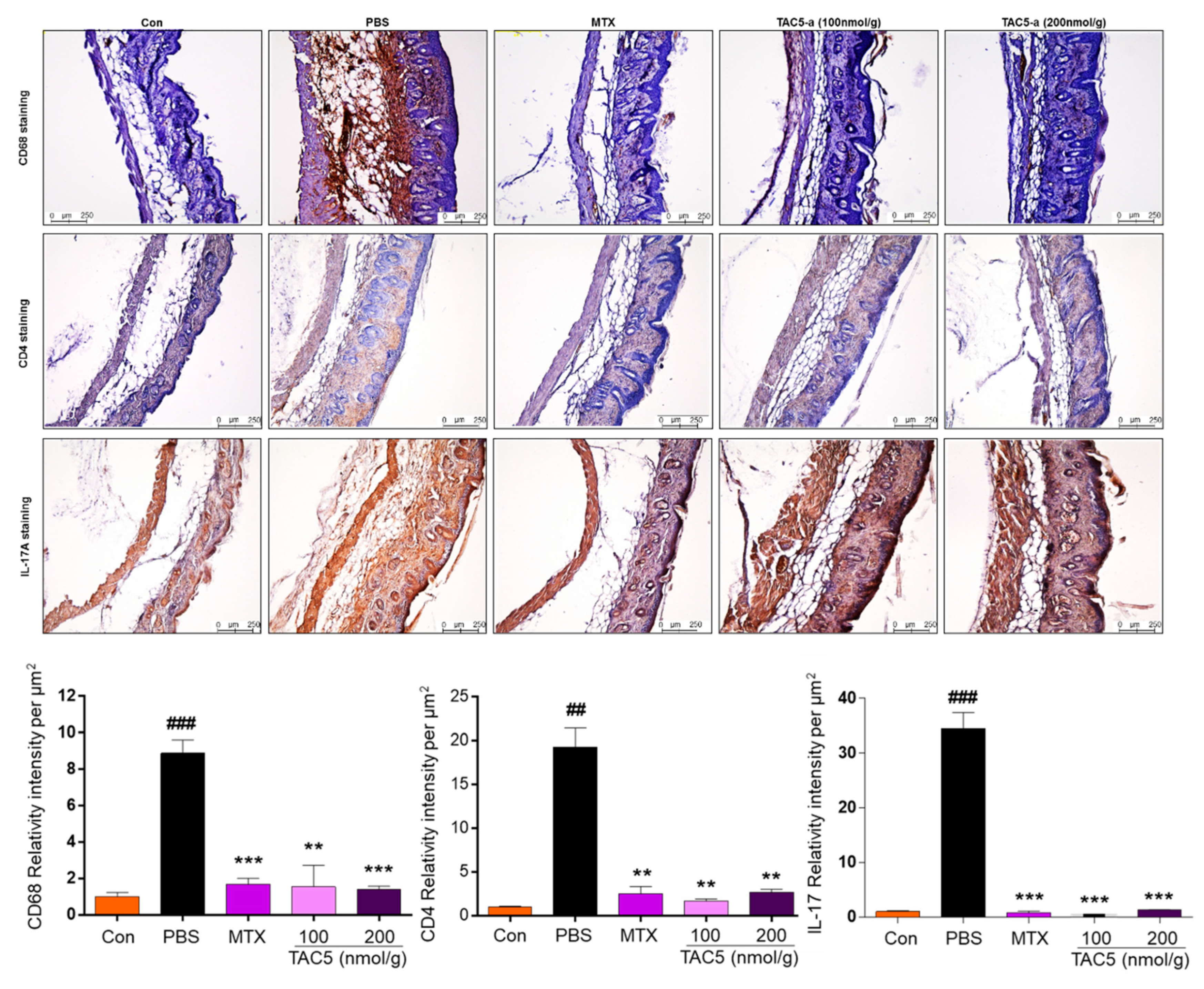 Cells 09 01648 g005 Cells 09 01648 g005