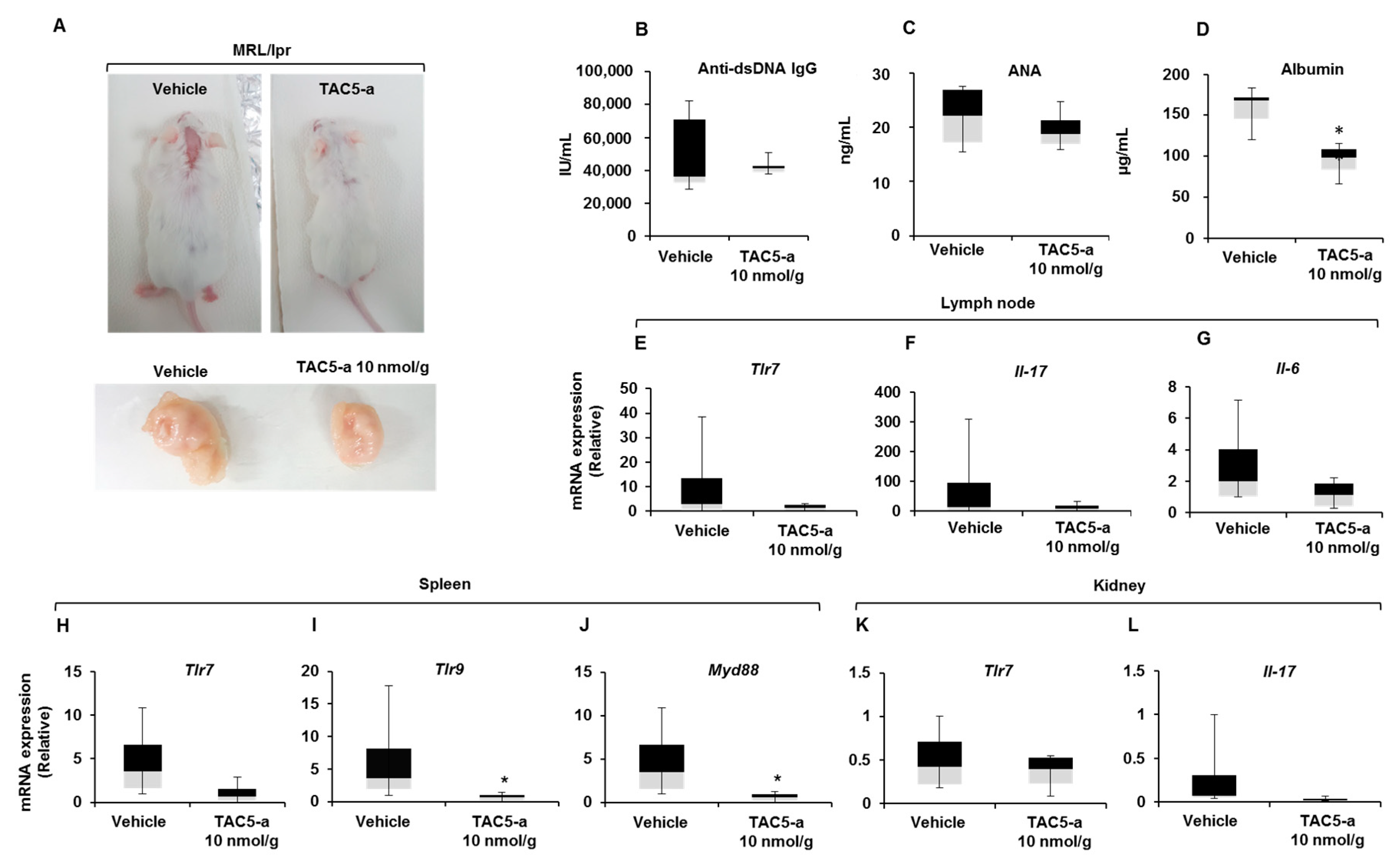 Cells 09 01648 g006 Cells 09 01648 g006