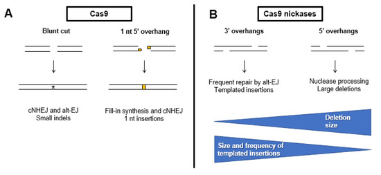 Regulation of Error-Prone DNA Double-Strand Break Repair and