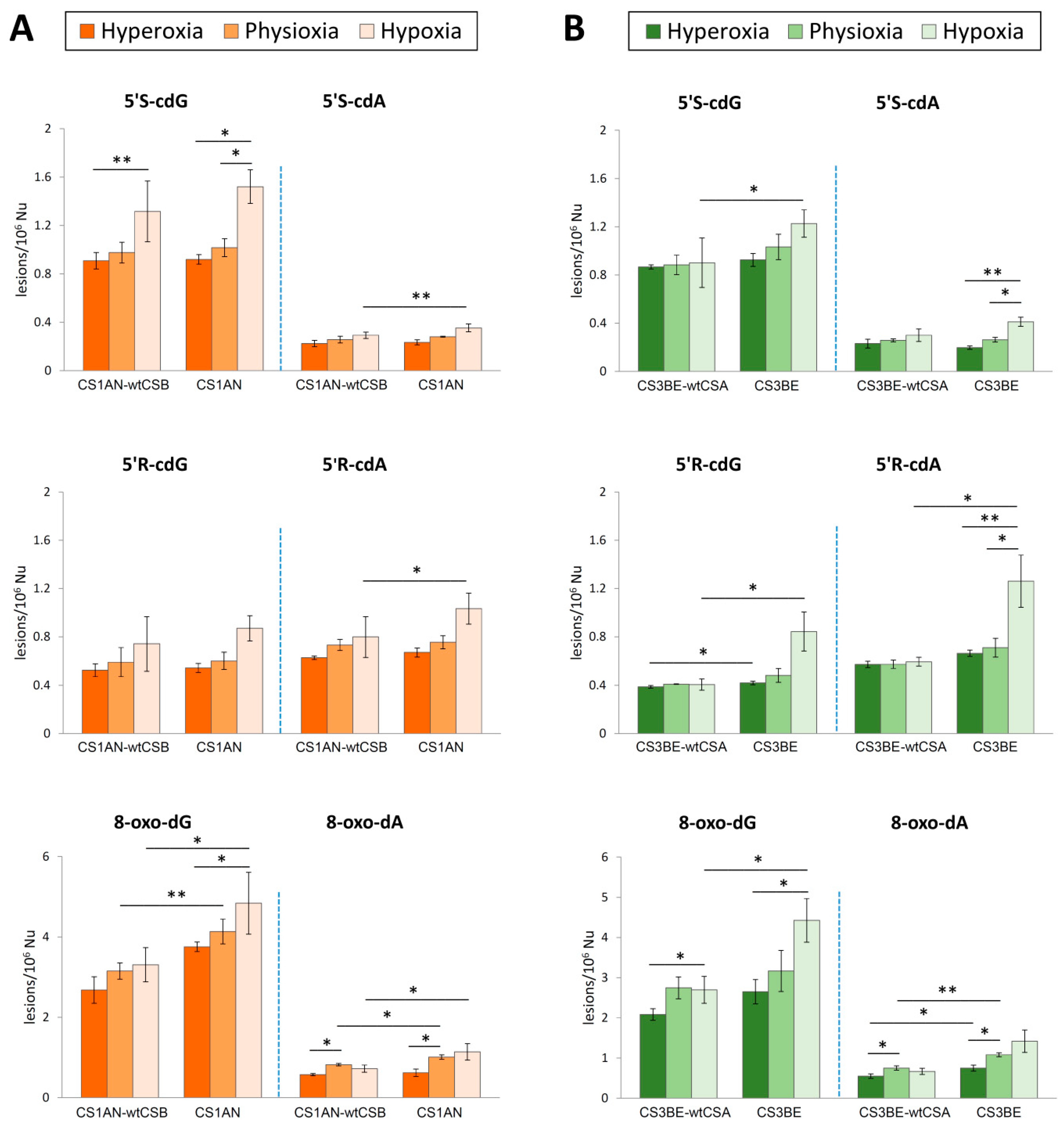Cells 09 01671 g001 Cells 09 01671 g001