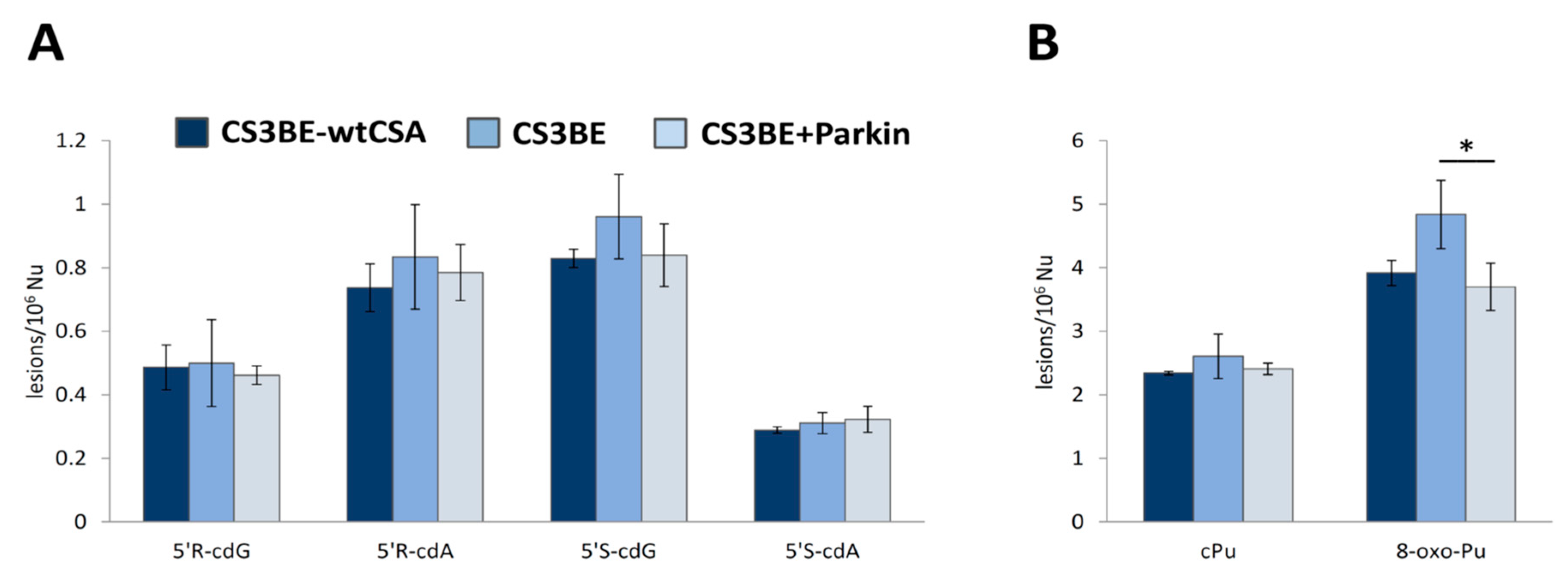 Cells 09 01671 g003 Cells 09 01671 g003