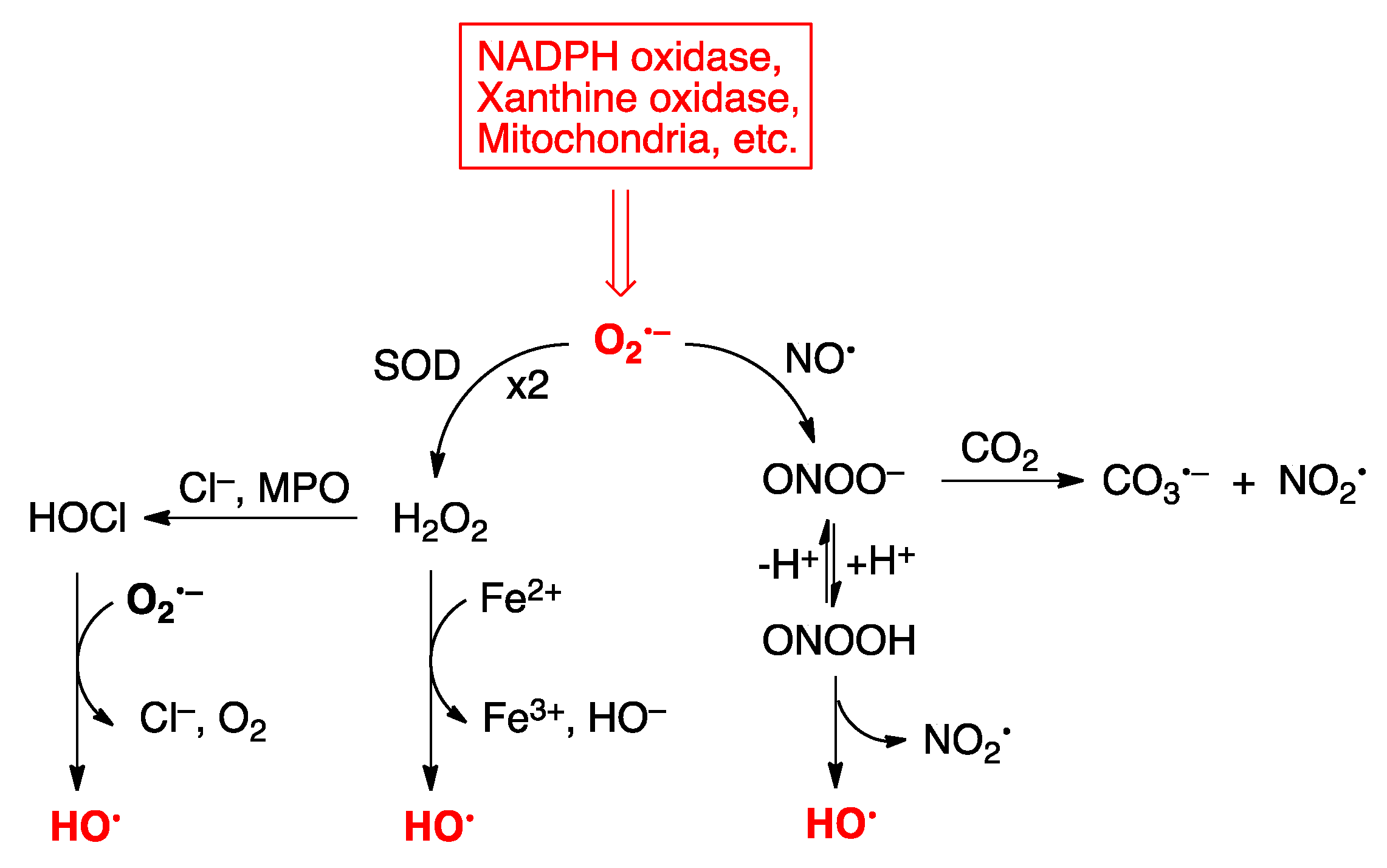 Cells 09 01671 g0a2 Cells 09 01671 g0a2