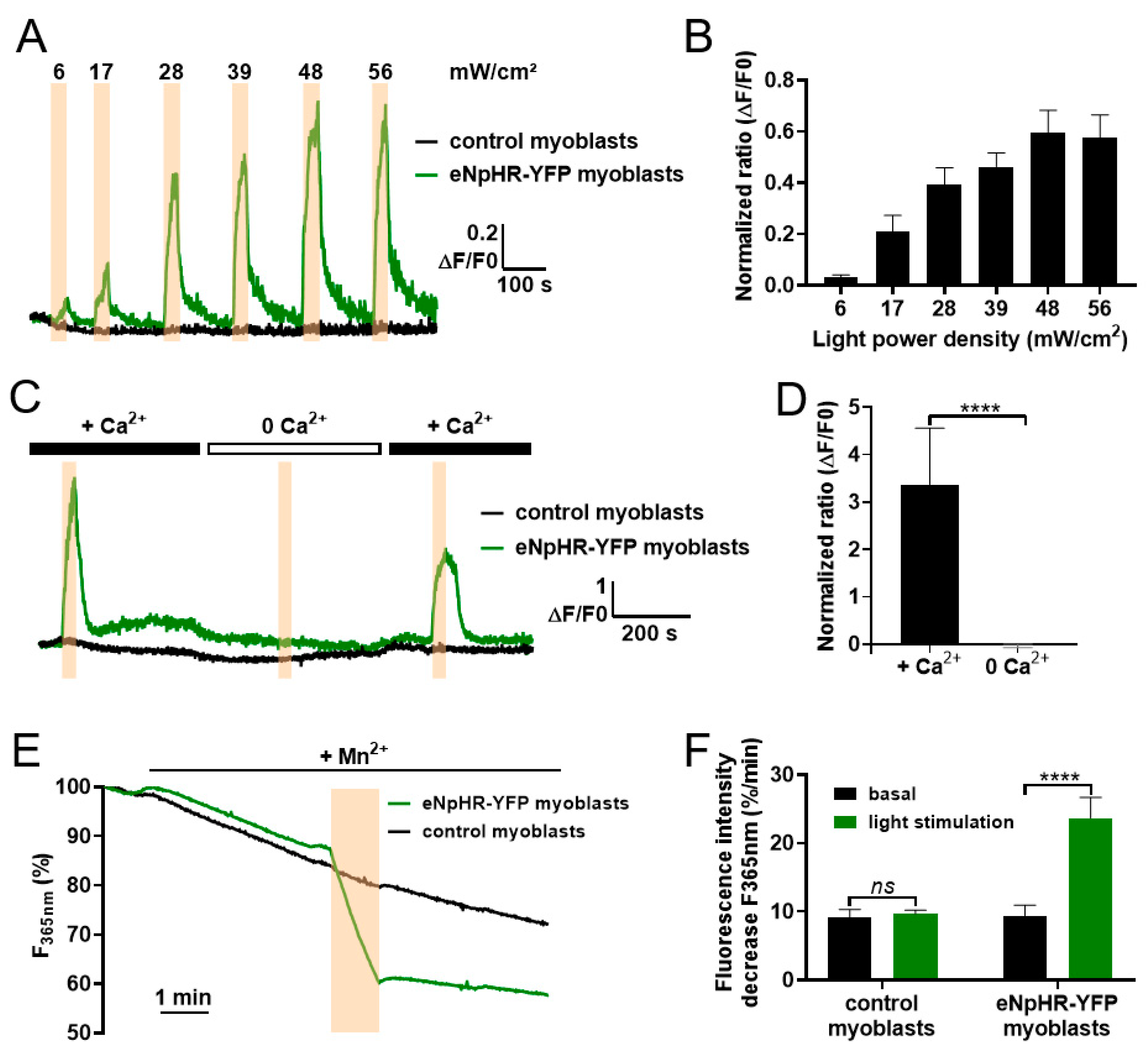 Cells 09 01684 g002 Cells 09 01684 g002