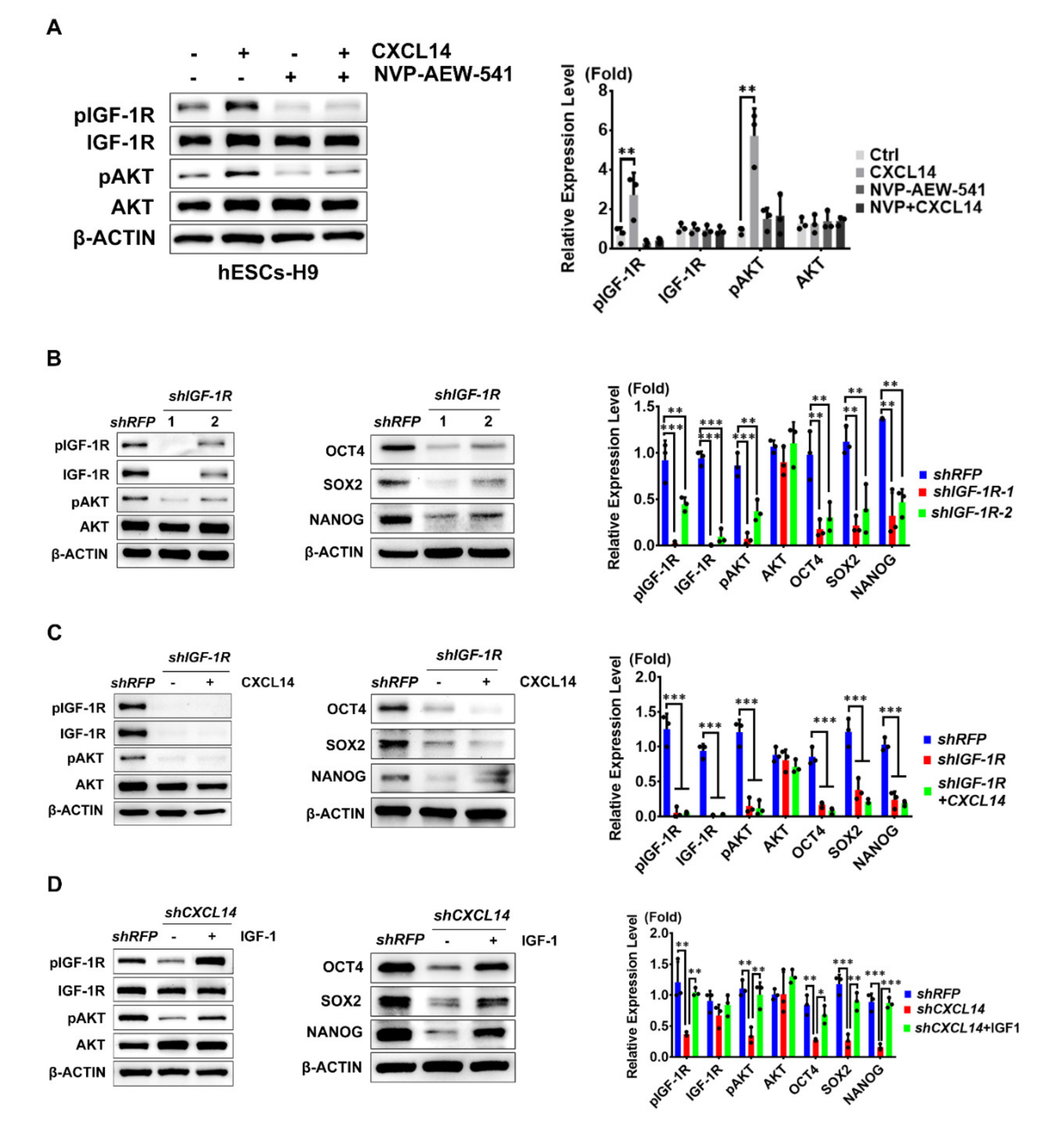 Cells 09 01706 g006 Cells 09 01706 g006
