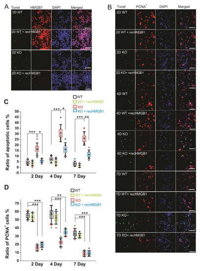 Cells 09 01714 g003 550