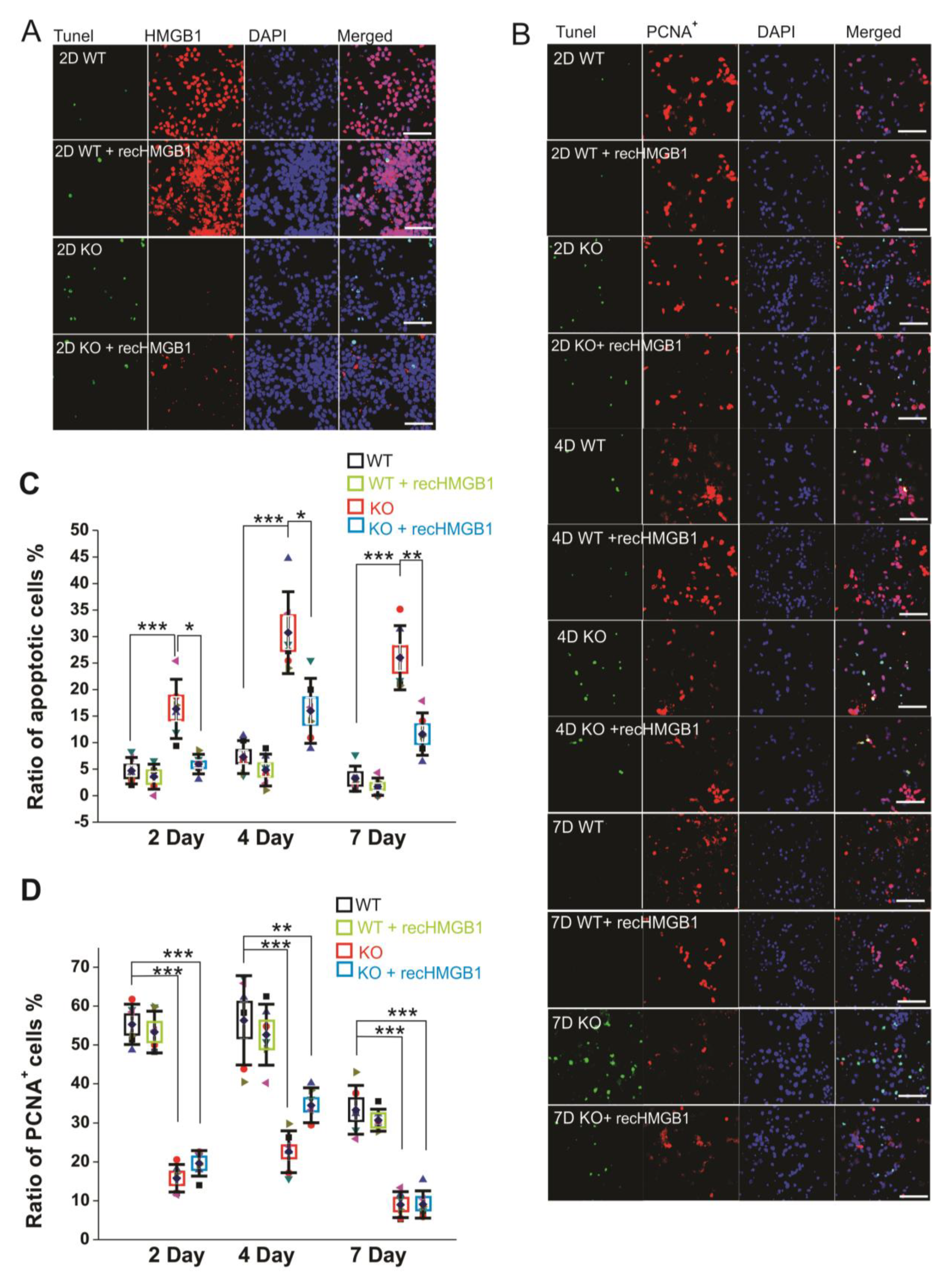 Cells 09 01714 g003 Cells 09 01714 g003