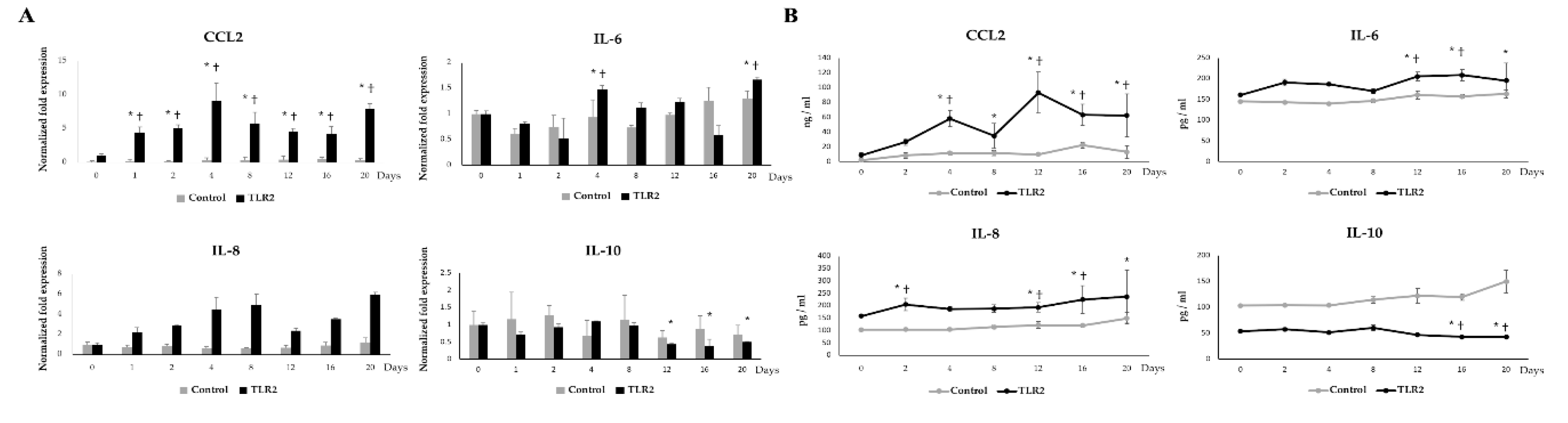 Cells 09 01715 g008 Cells 09 01715 g008