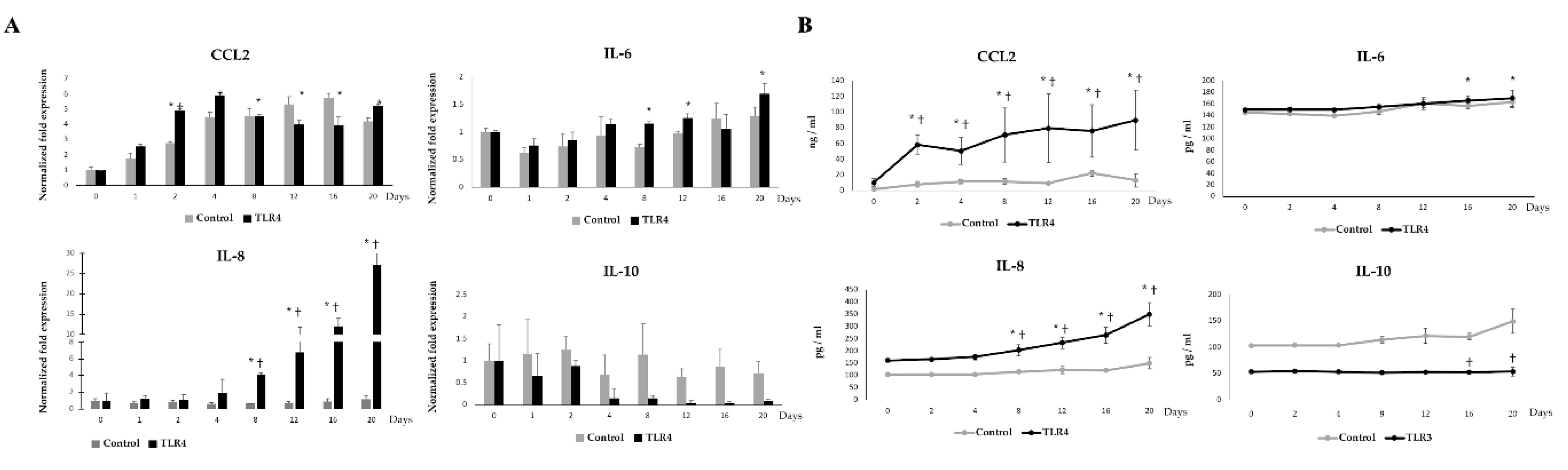 Cells 09 01715 g009 Cells 09 01715 g009
