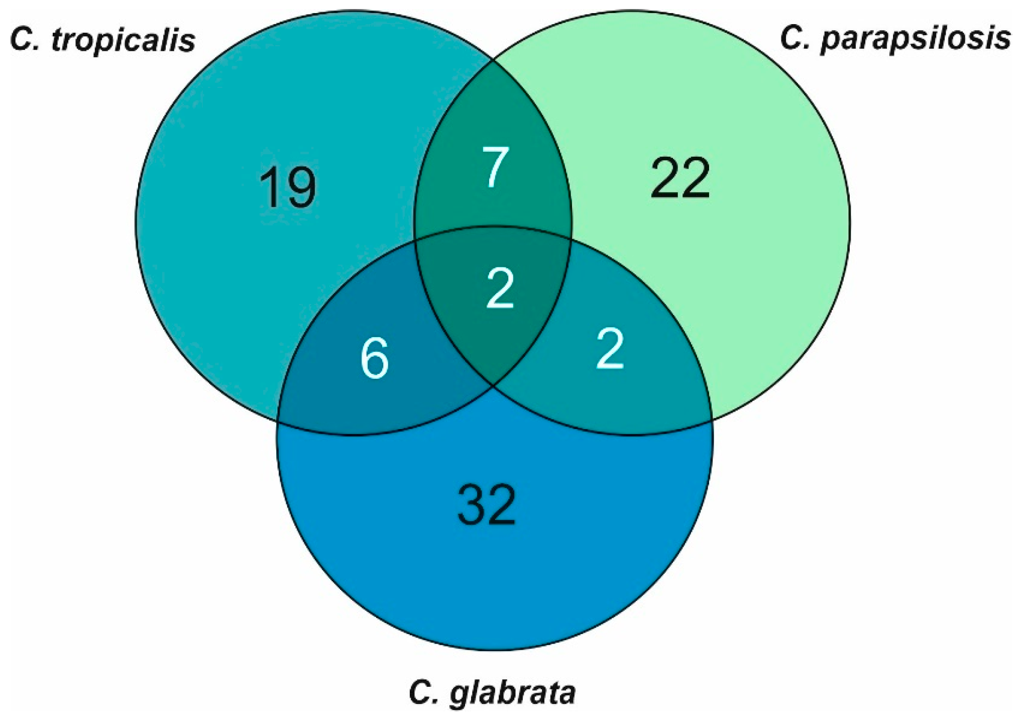 Cells | Free Full-Text | Characteristics of Extracellular Vesicles