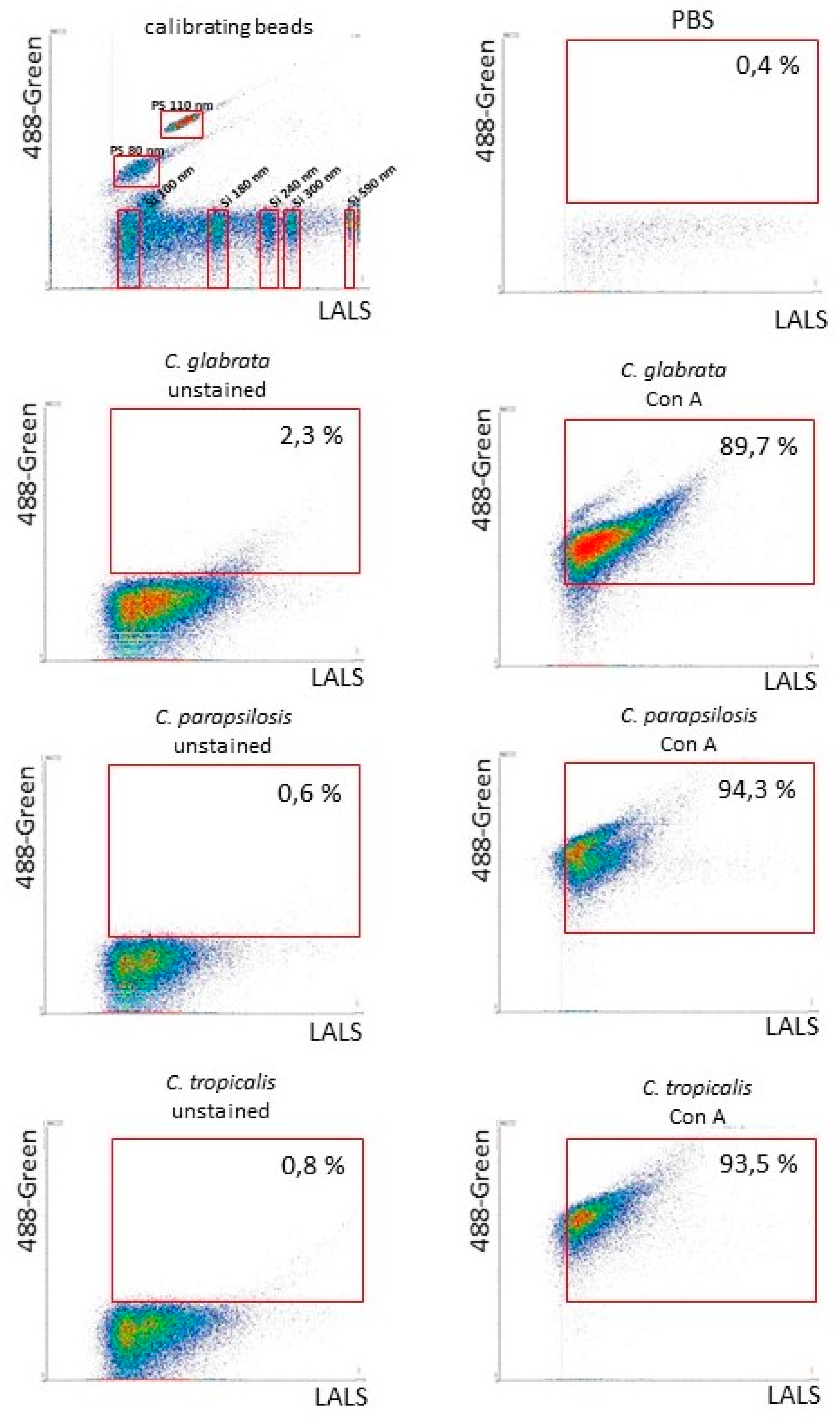 Cells 09 01722 g005 Cells 09 01722 g005