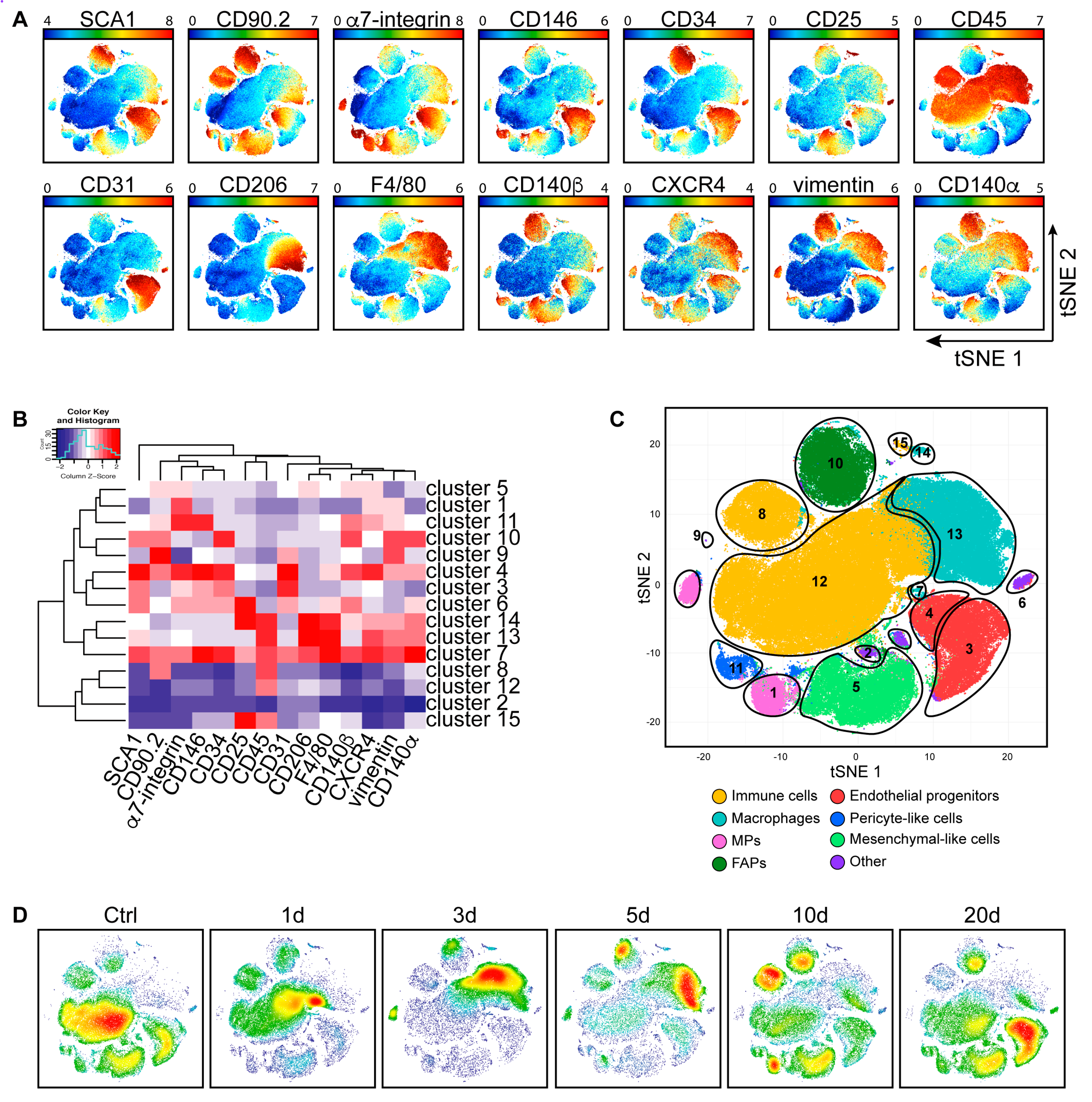 Cells 09 01723 g002 Cells 09 01723 g002