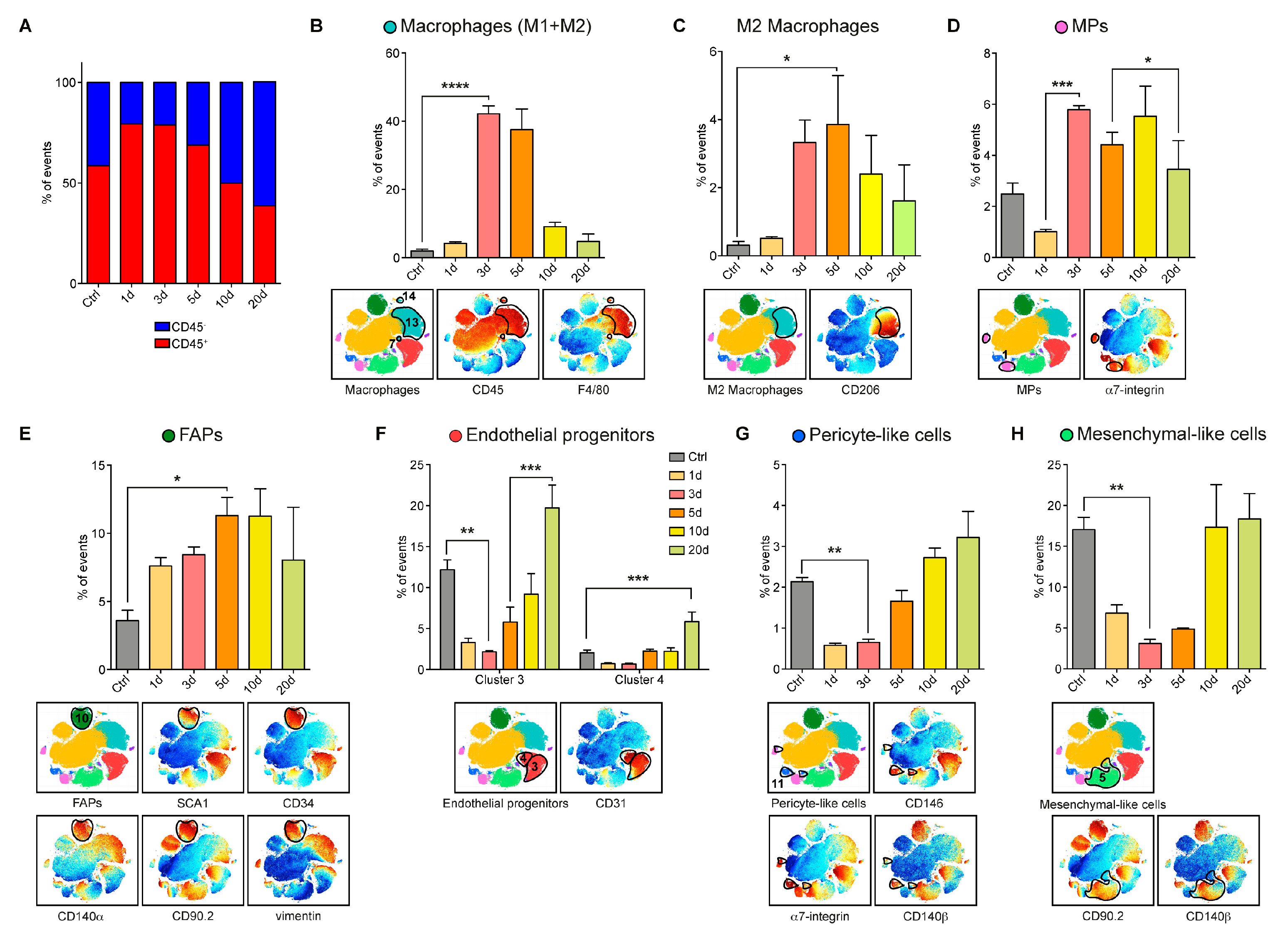 Cells 09 01723 g003 Cells 09 01723 g003