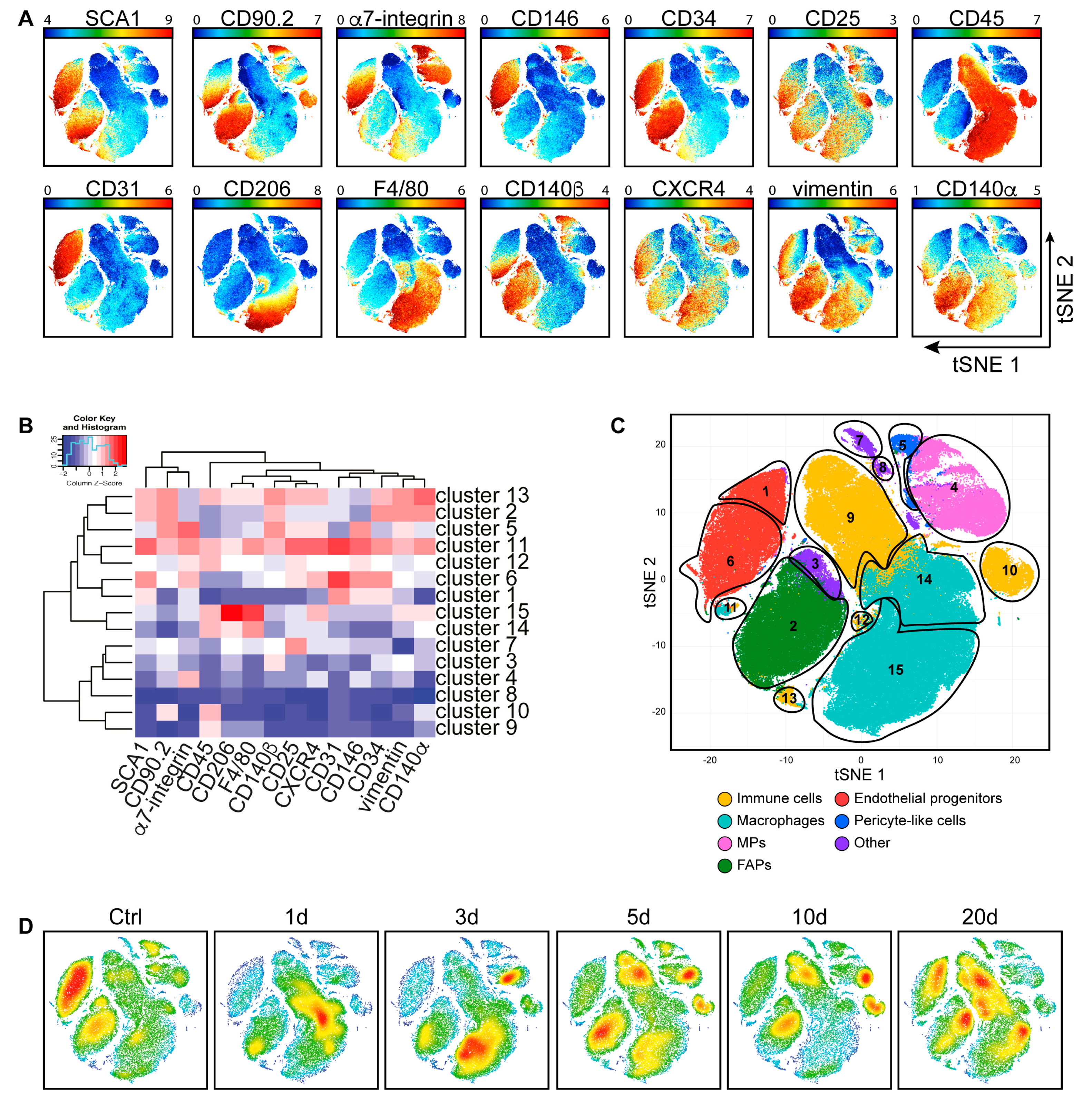 Cells 09 01723 g004 Cells 09 01723 g004