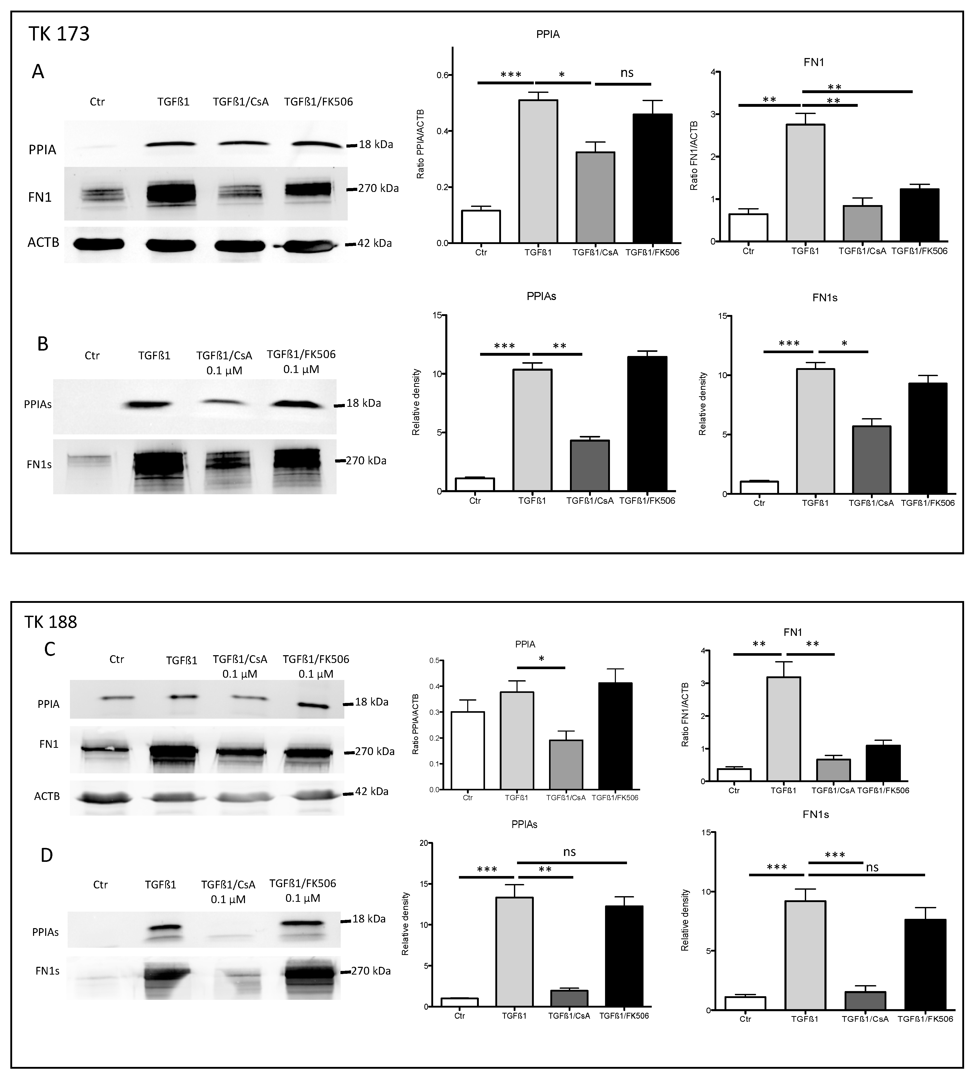 Cells 09 01724 g005 Cells 09 01724 g005