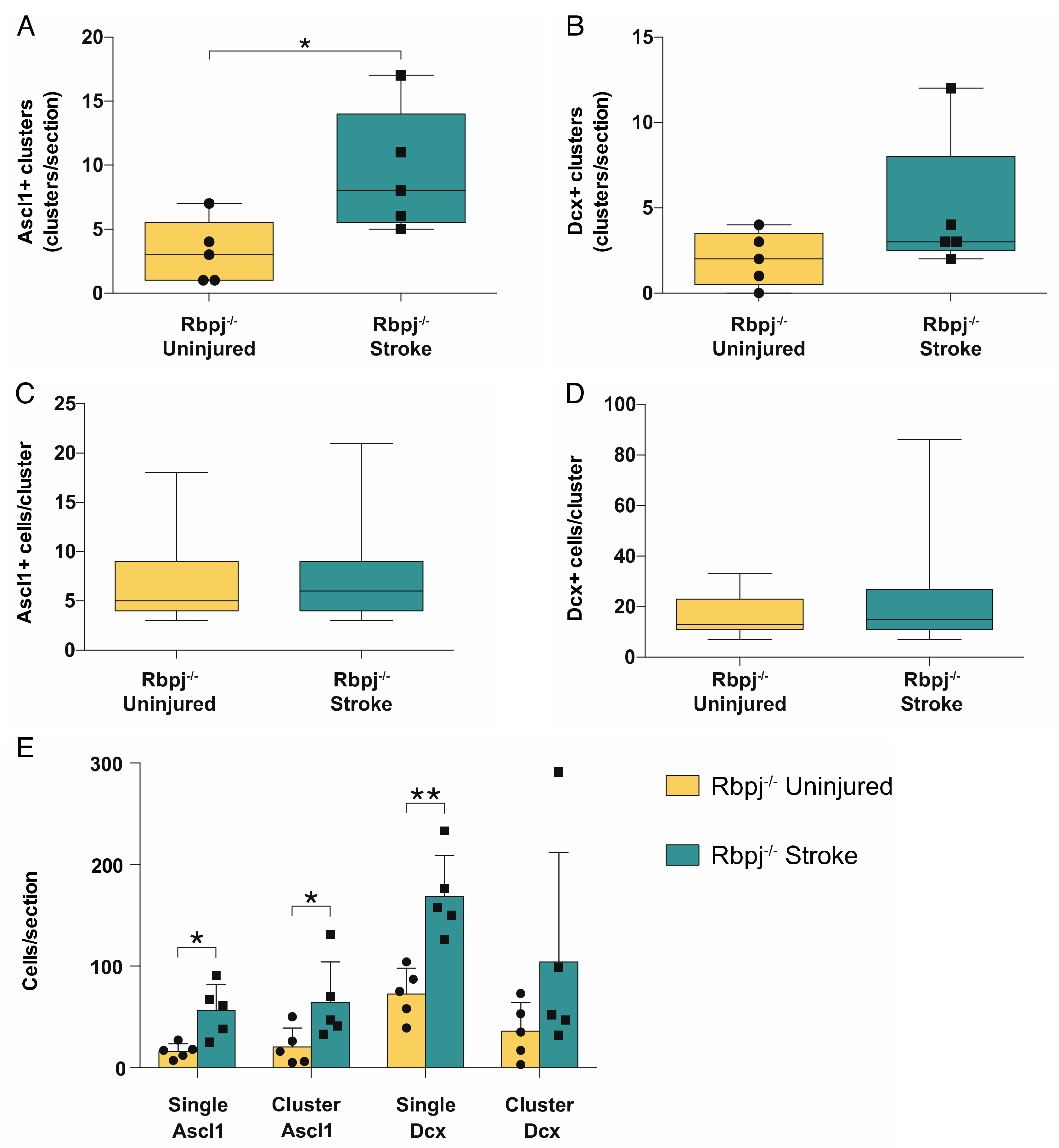 Cells 09 01732 g003 Cells 09 01732 g003