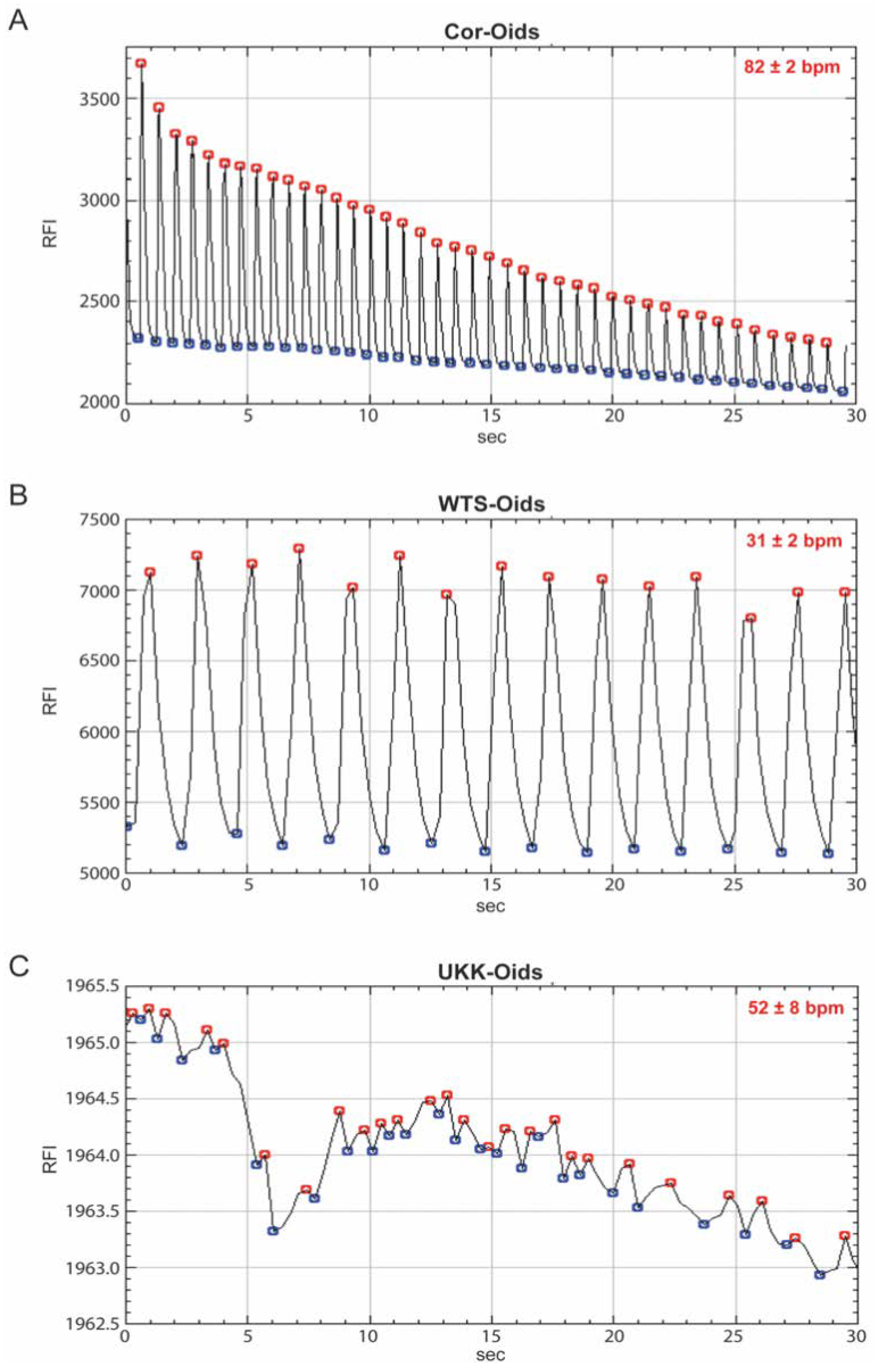 Cells 09 01733 g005 Cells 09 01733 g005