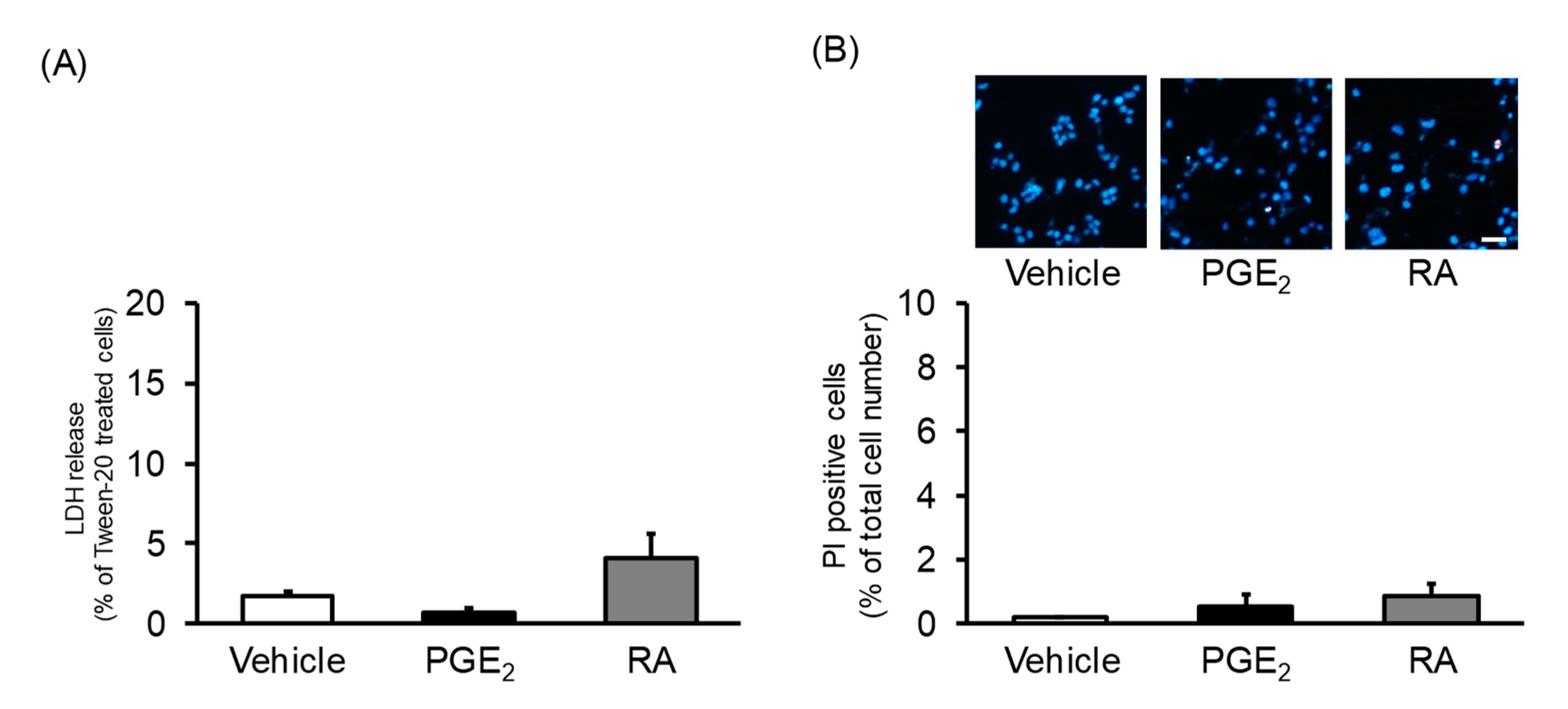 Cells 09 01741 g002 Cells 09 01741 g002