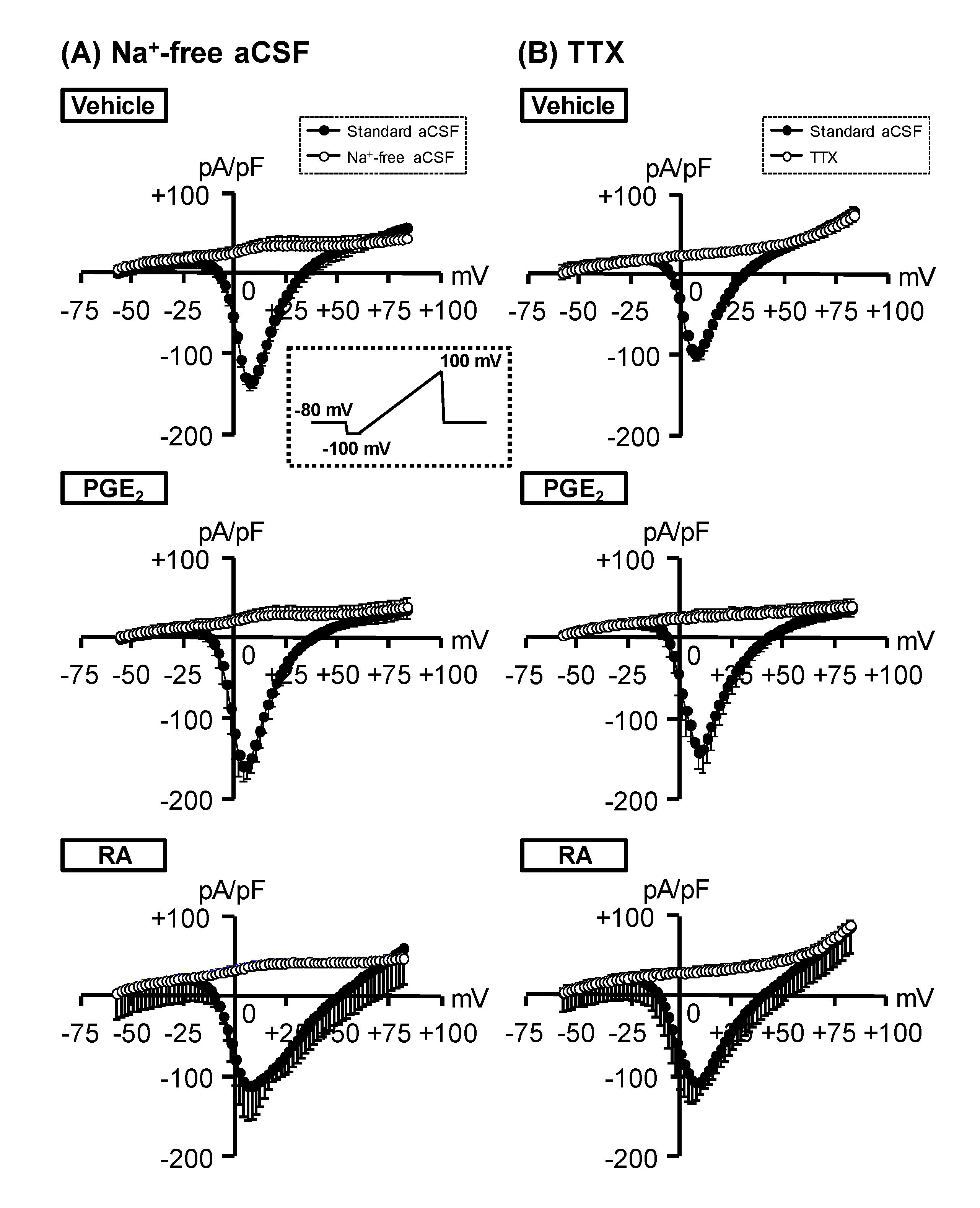 Cells 09 01741 g005 Cells 09 01741 g005