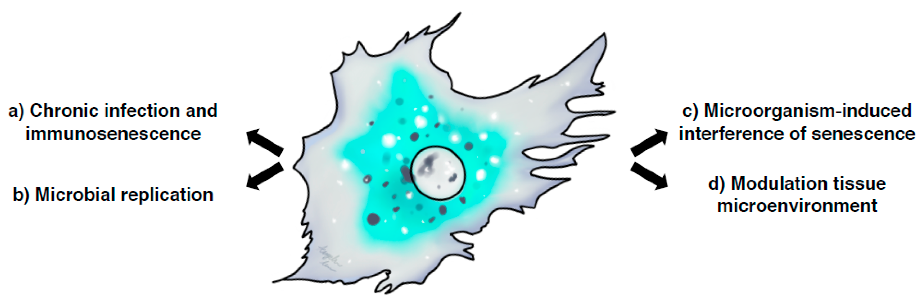 Cells 09 01747 g002 Cells 09 01747 g002