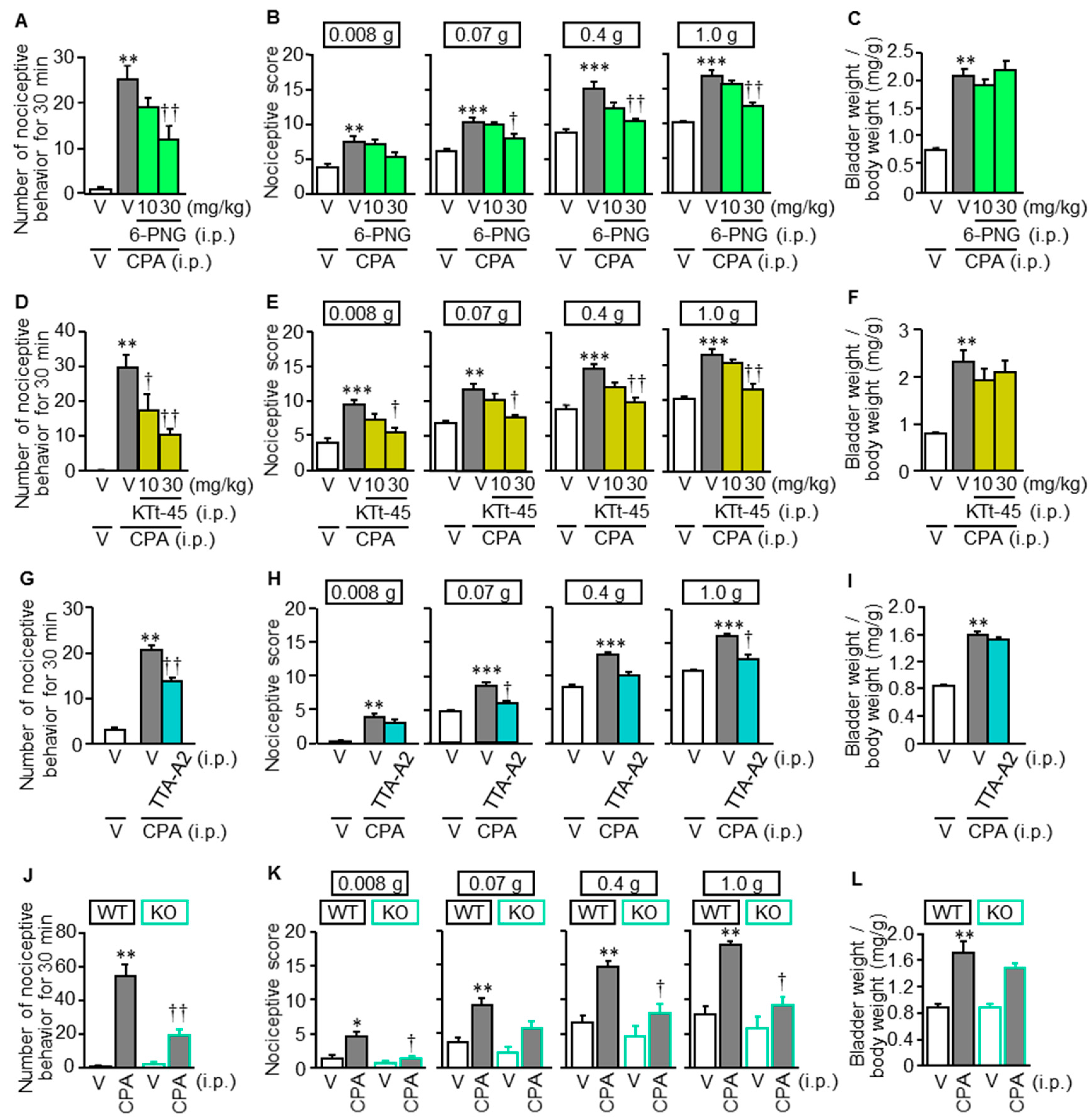 Cells 09 01748 g001