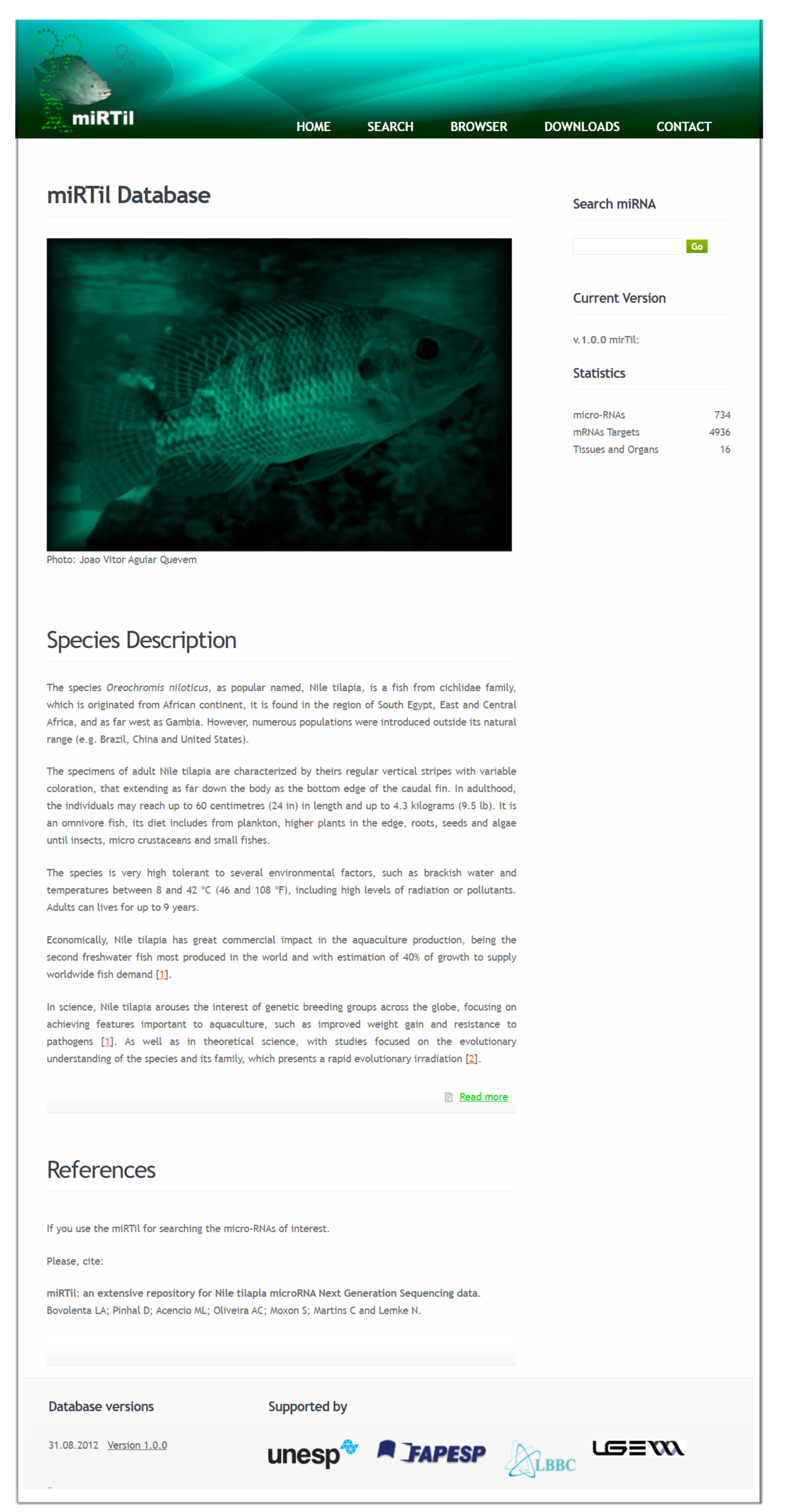 Cells 09 01752 g003 Cells 09 01752 g003