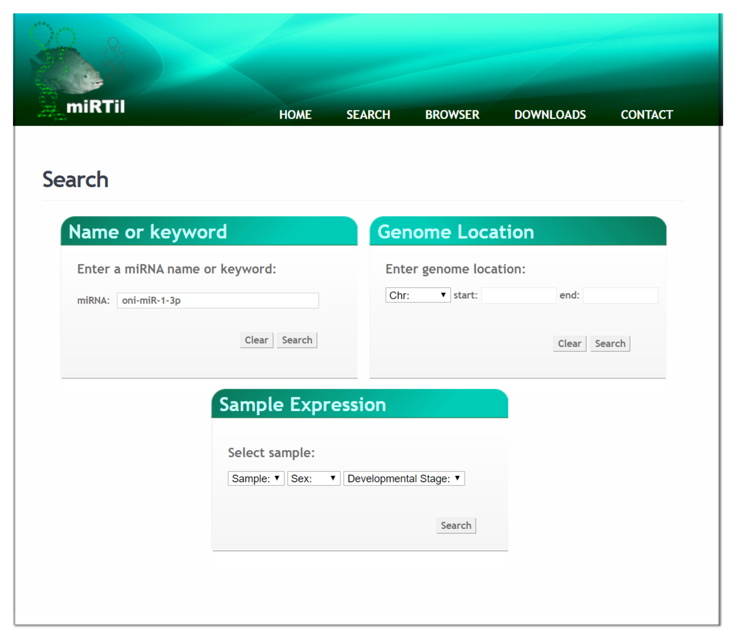 Cells 09 01752 g004 Cells 09 01752 g004