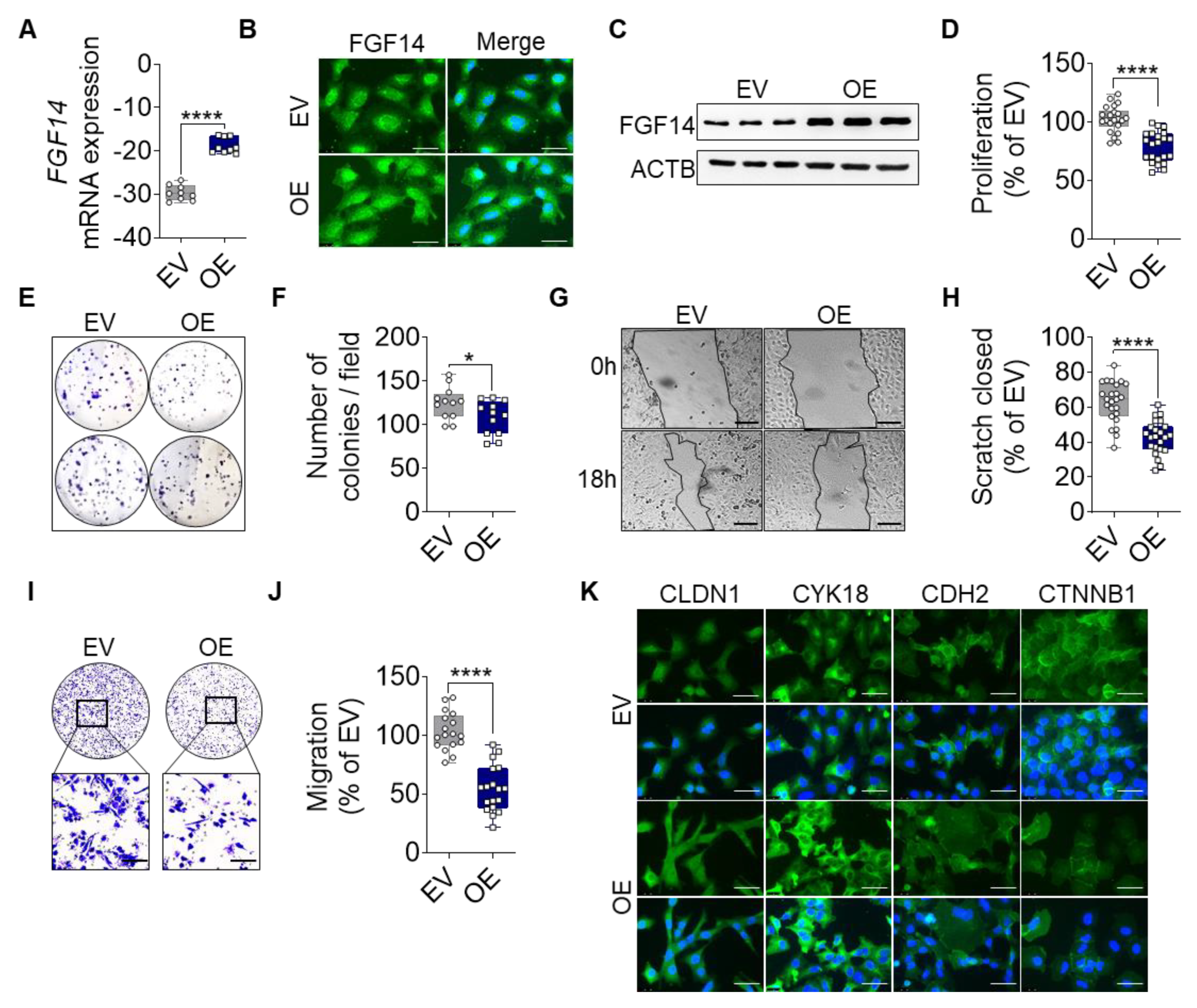 Cells 09 01755 g002 Cells 09 01755 g002