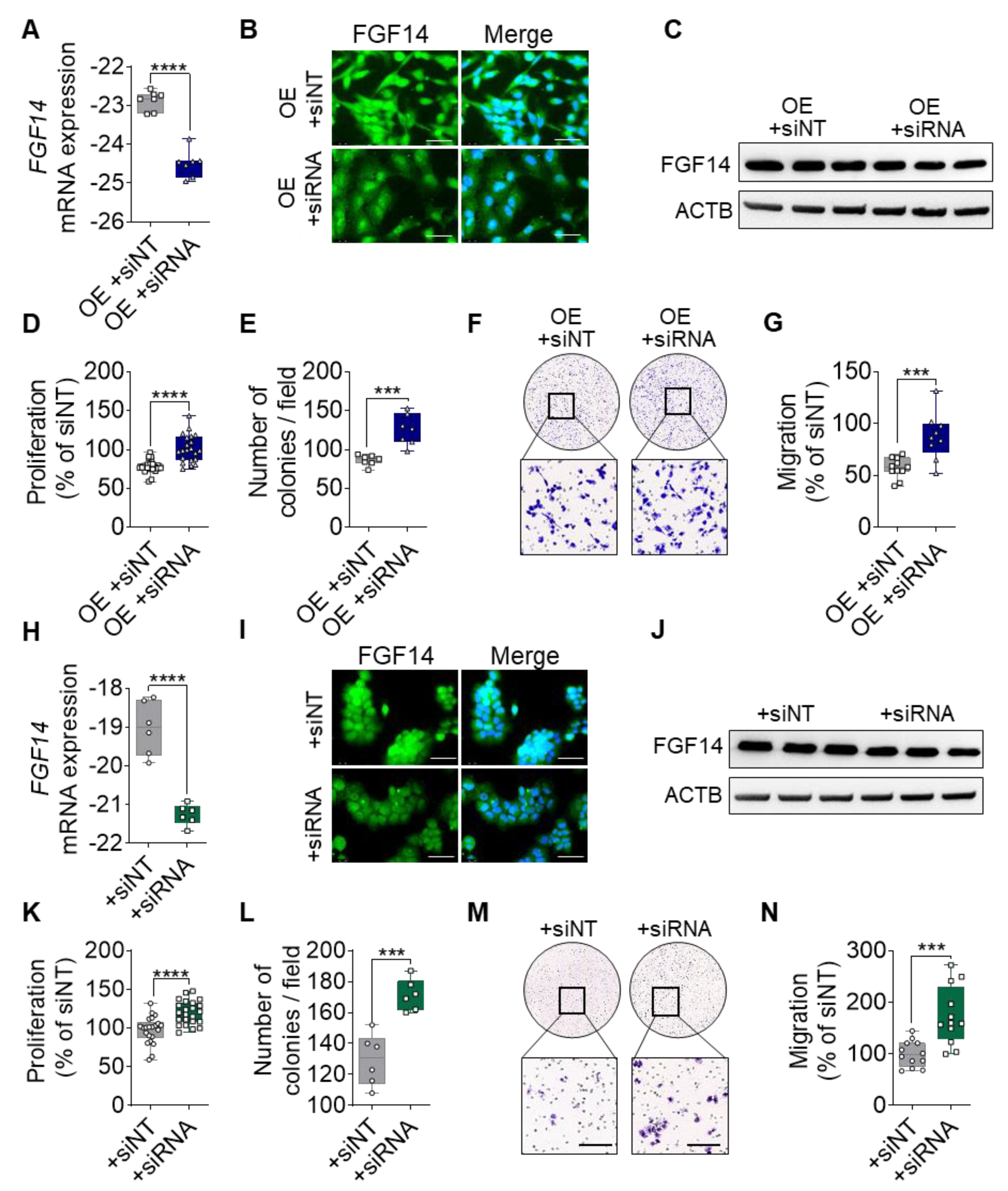 Cells 09 01755 g003 Cells 09 01755 g003