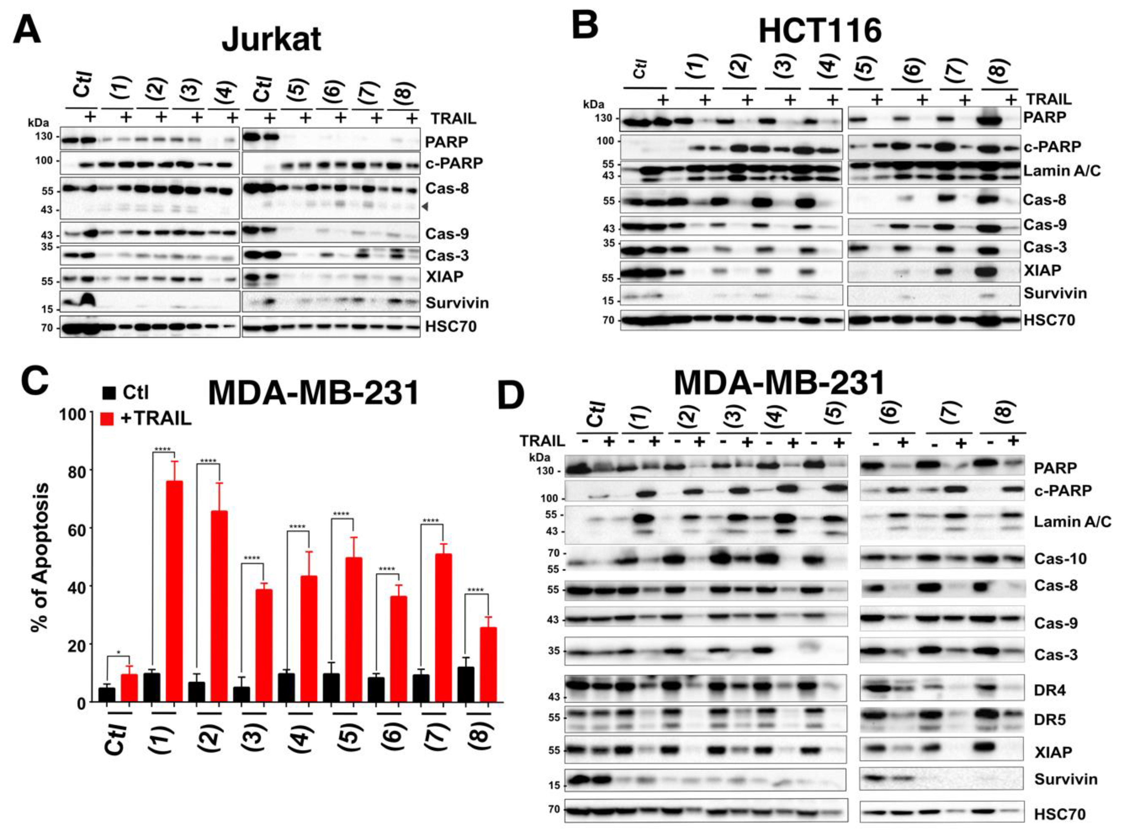 Cells 09 01760 g005 Cells 09 01760 g005