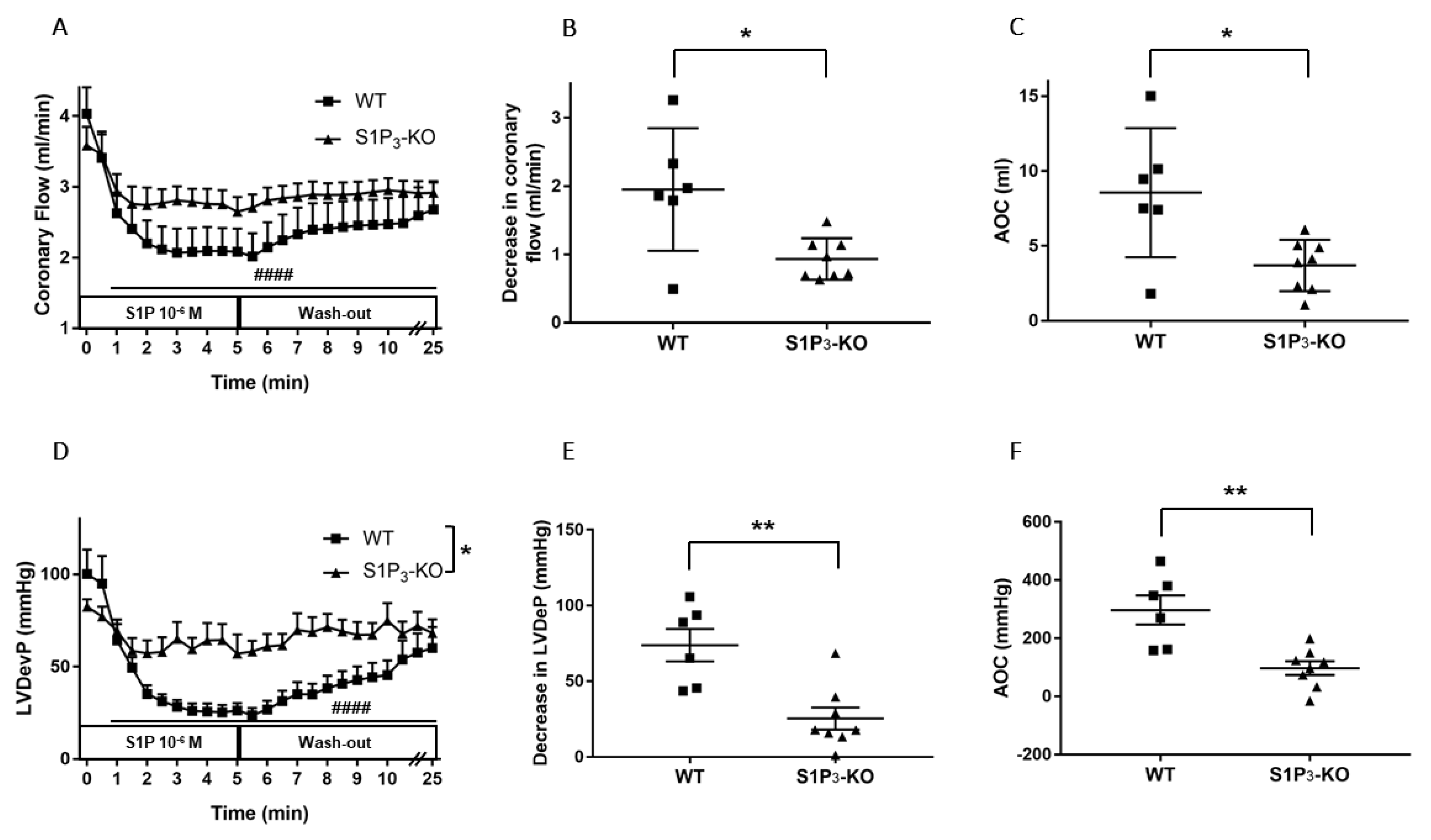 Cells 09 01770 g004 Cells 09 01770 g004