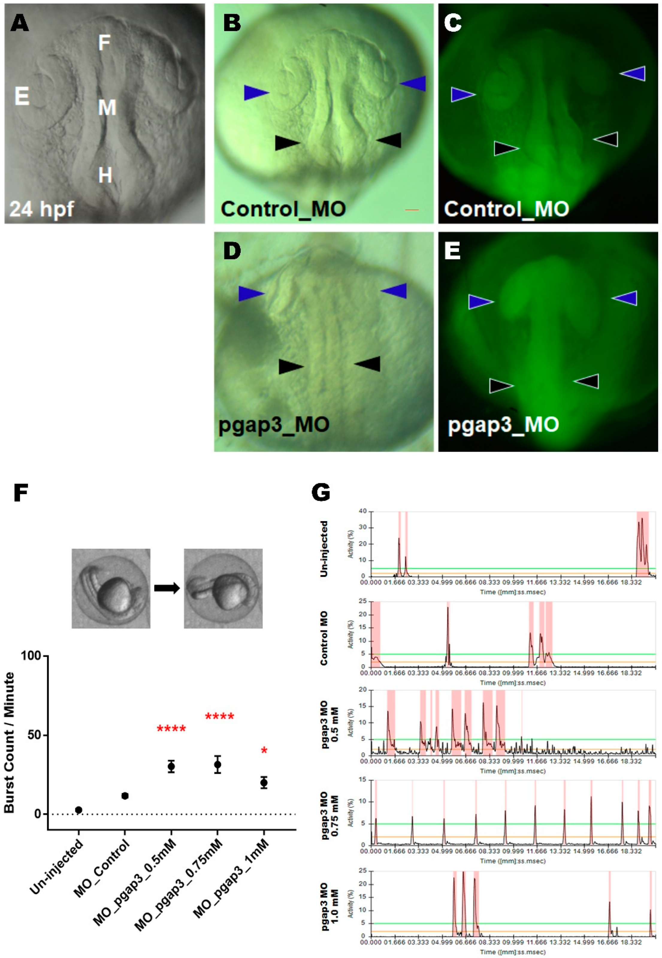 Cells 09 01782 g003