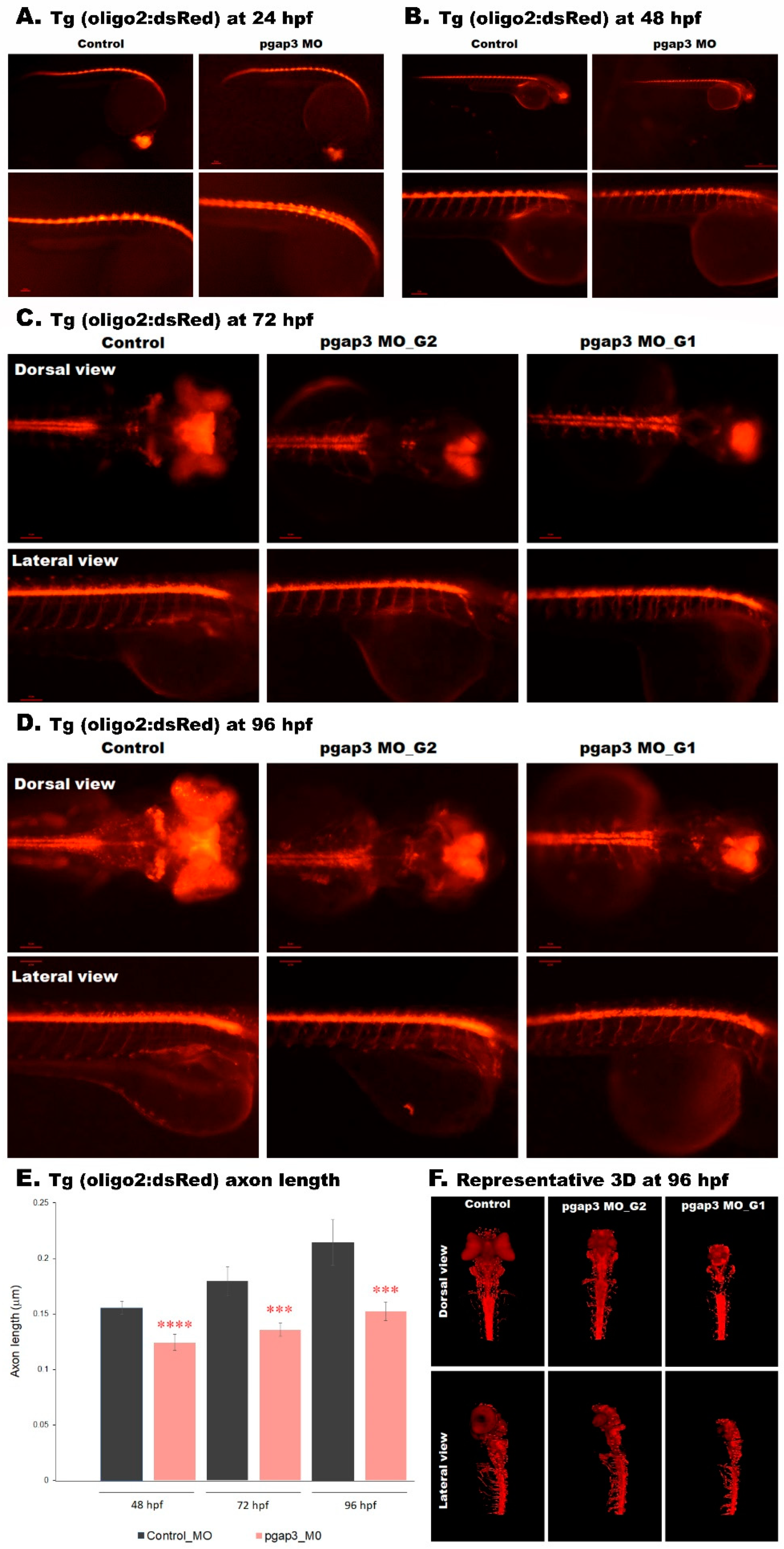 Cells 09 01782 g008