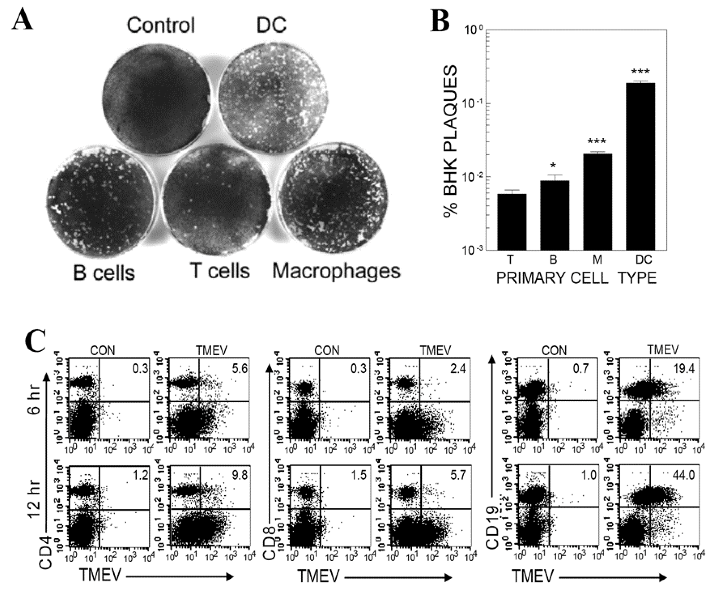 Cells 09 01787 g001 Cells 09 01787 g001