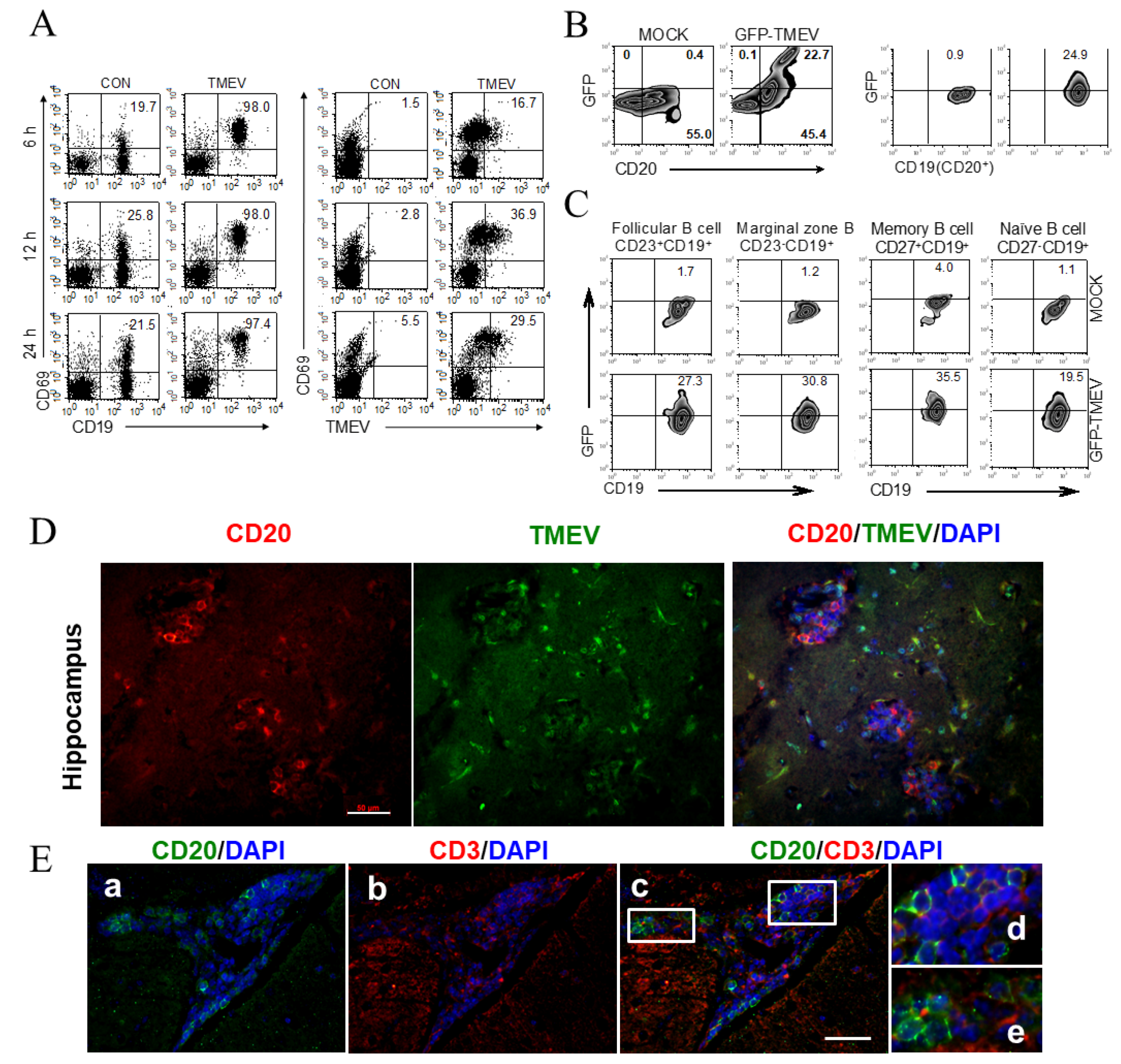 Cells 09 01787 g002 Cells 09 01787 g002