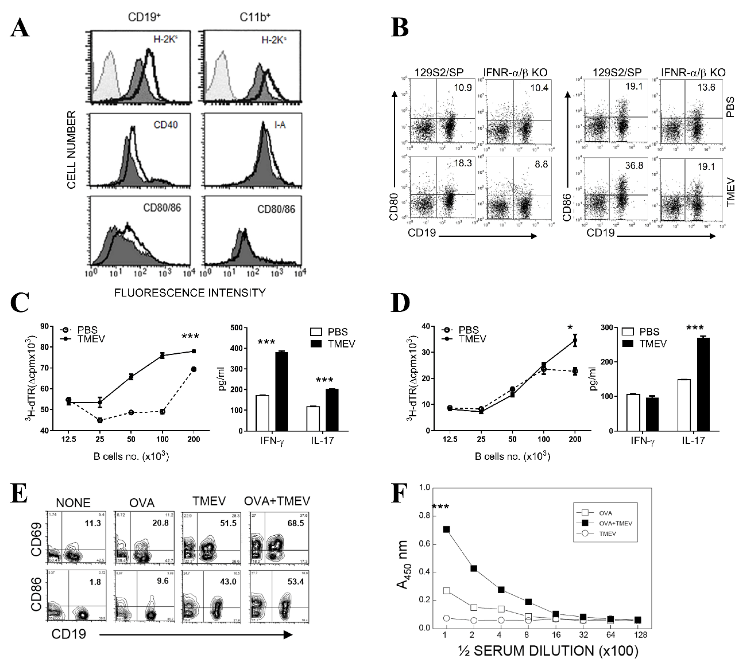 Cells 09 01787 g004 Cells 09 01787 g004