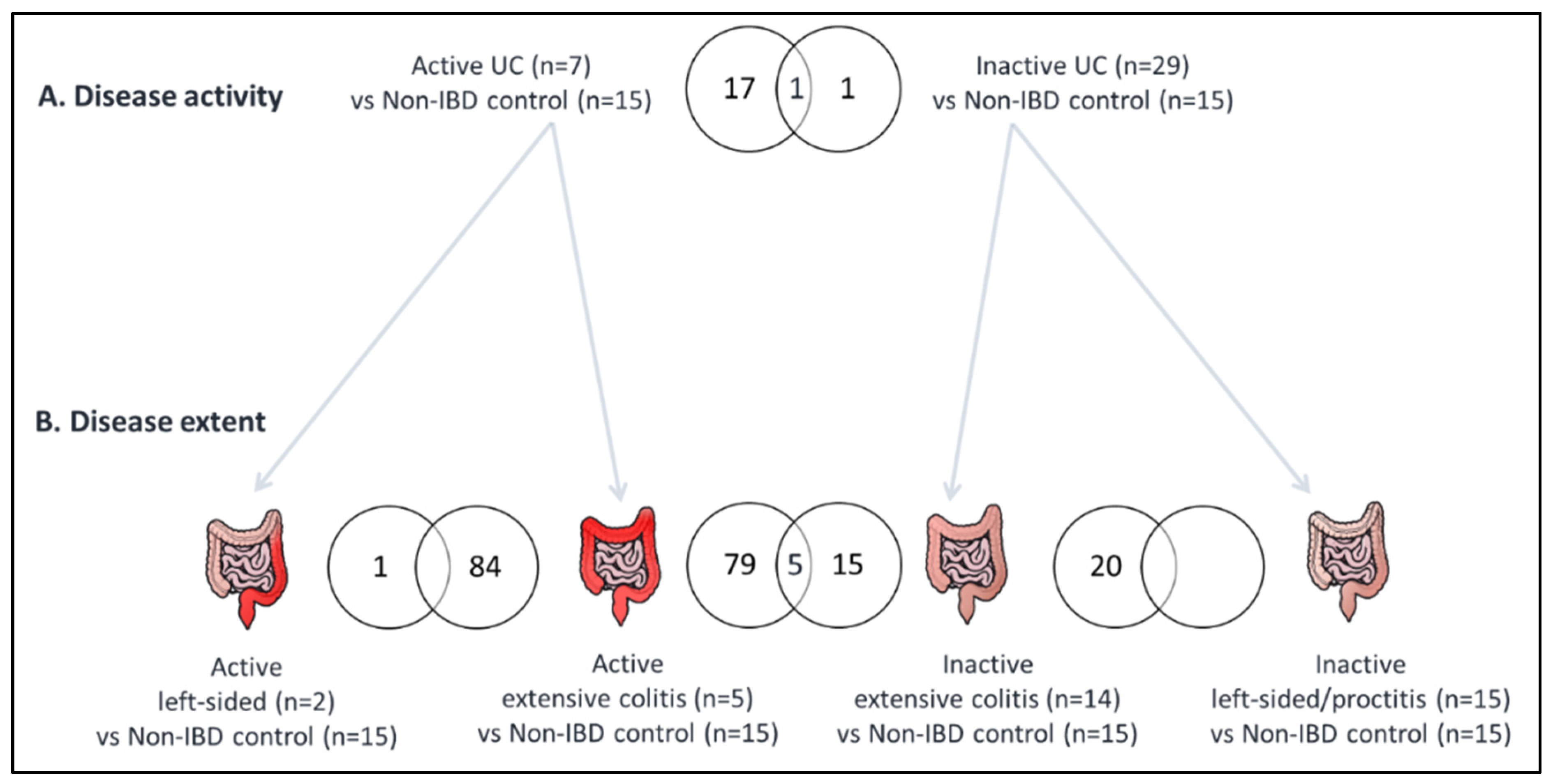 Cells 09 01793 g001 Cells 09 01793 g001