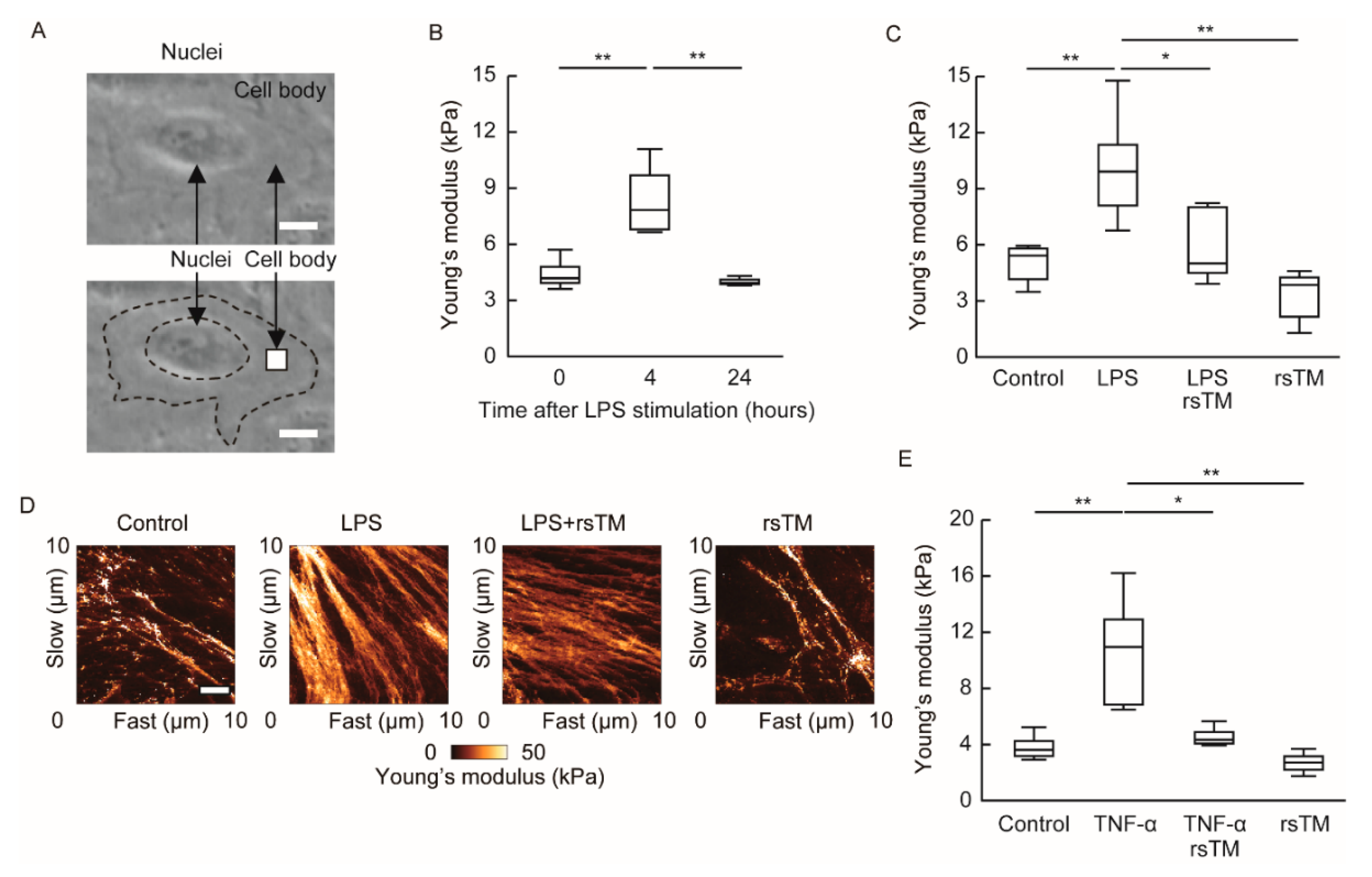 Cells 09 01811 g001 Cells 09 01811 g001
