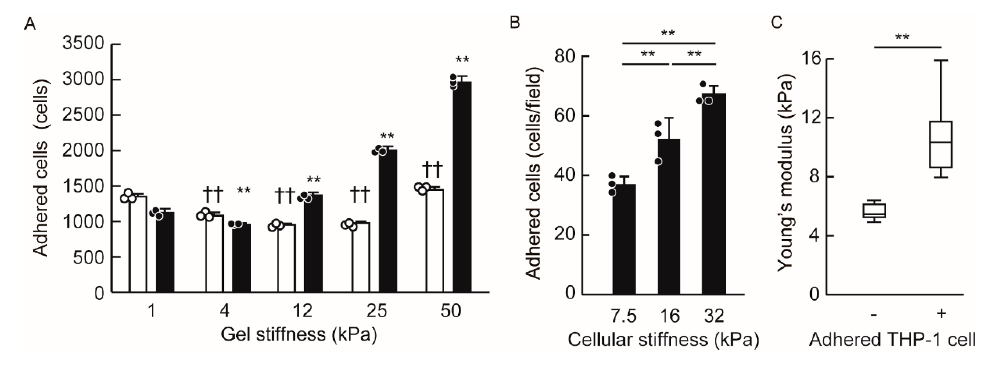 Cells 09 01811 g005 Cells 09 01811 g005