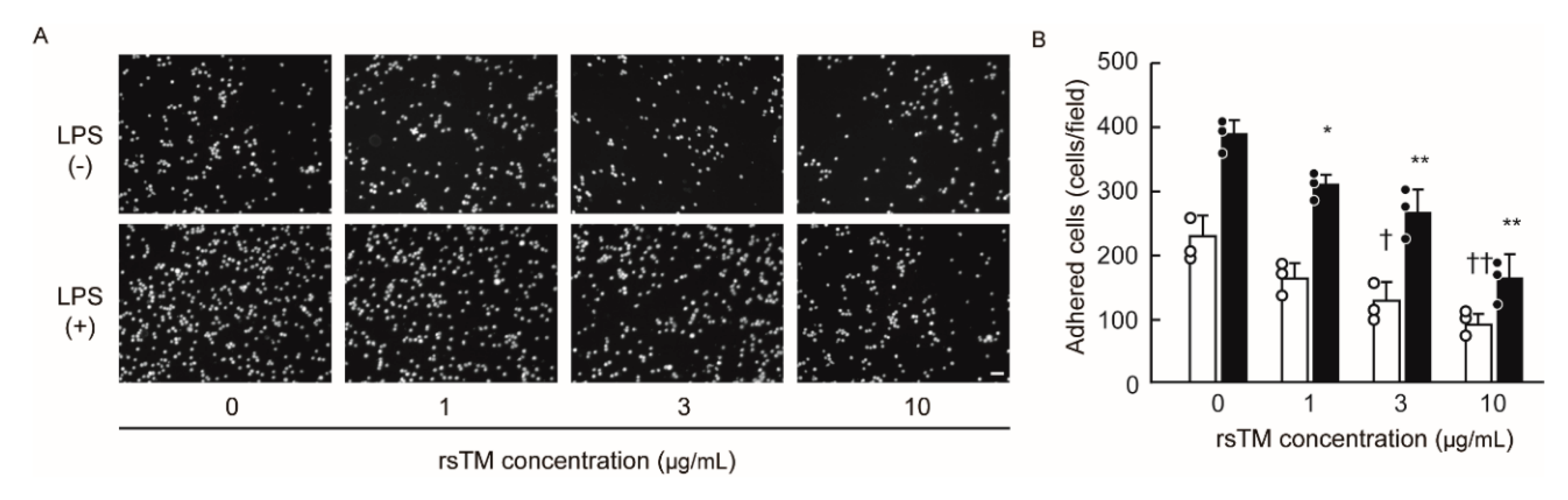 Cells 09 01811 g006 Cells 09 01811 g006